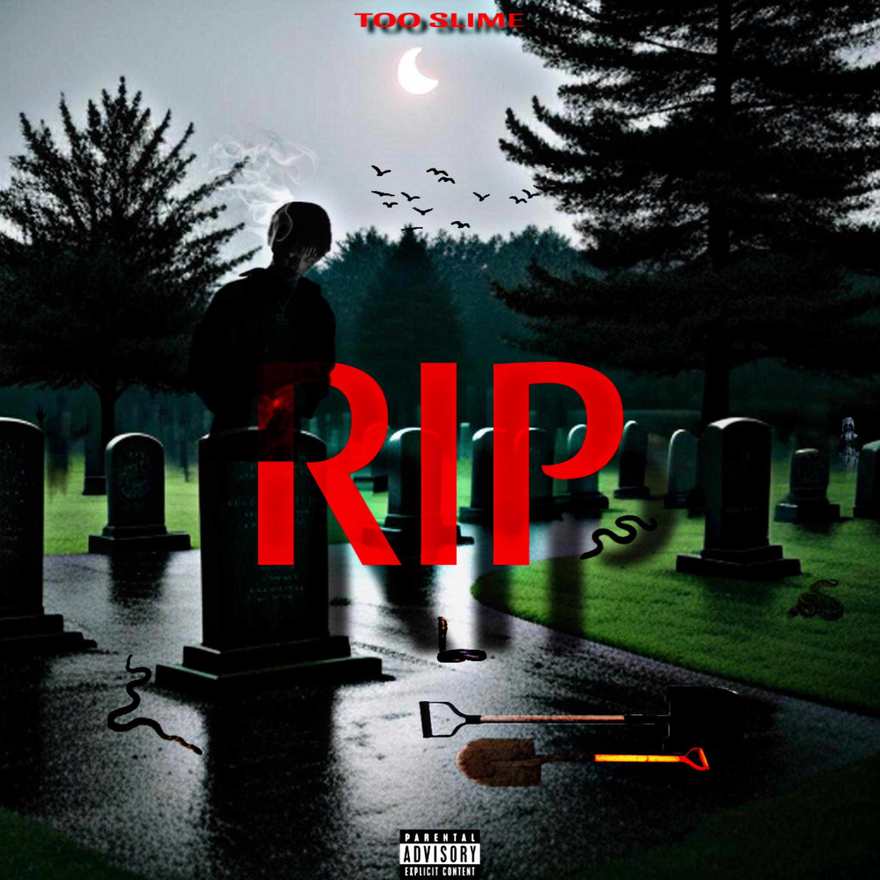 RIP artwork