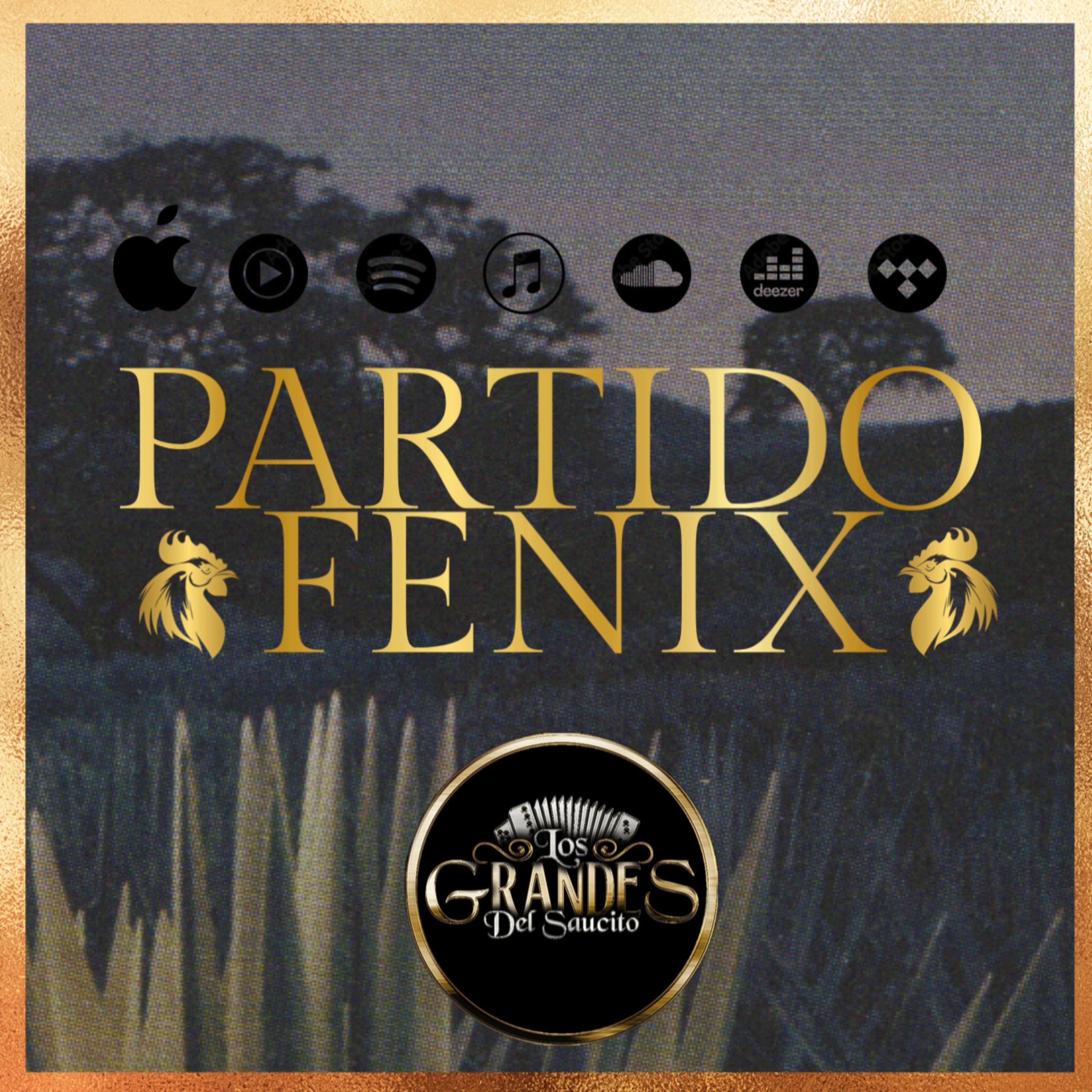 Partido Fénix artwork