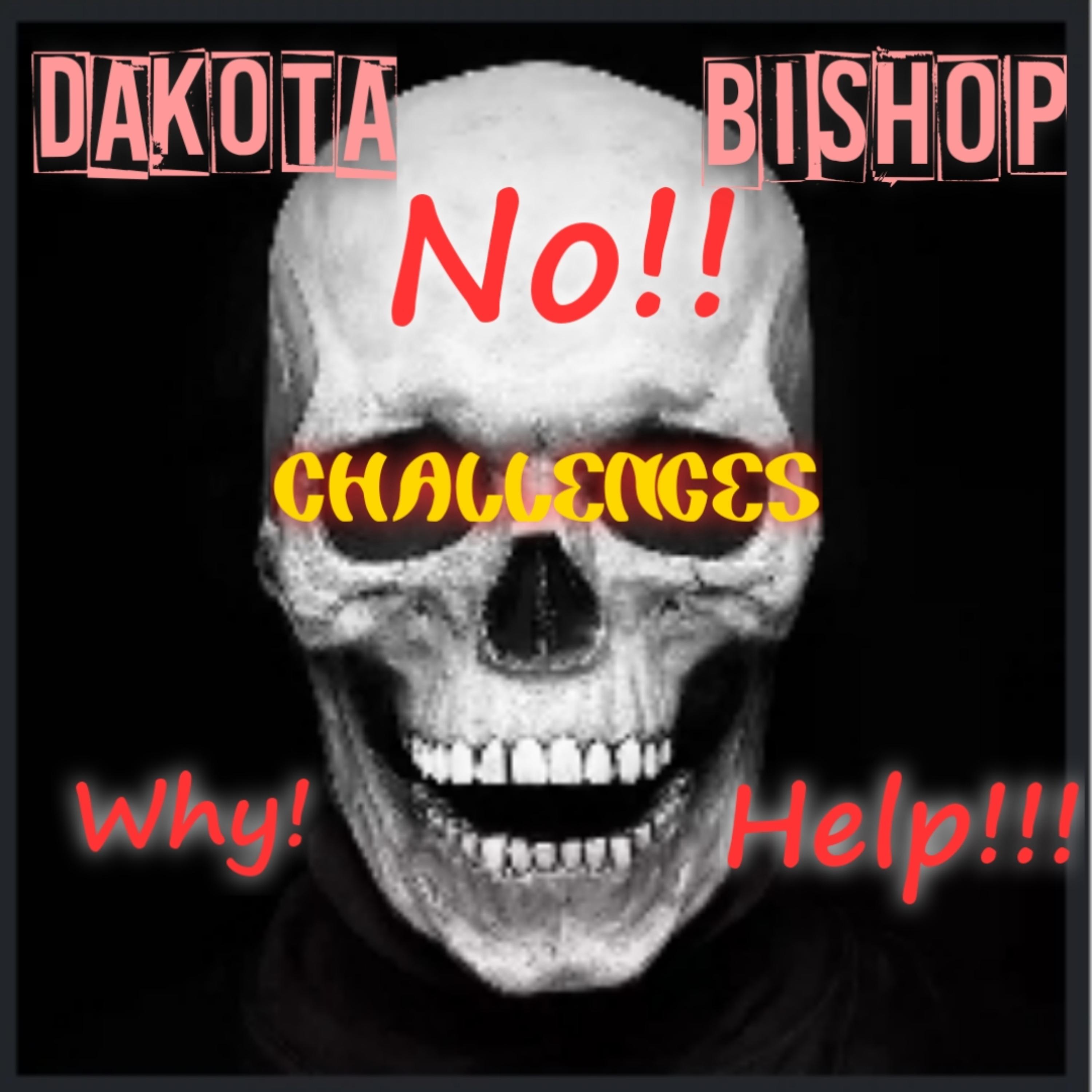 Challenges by Dakota Bishop cover art