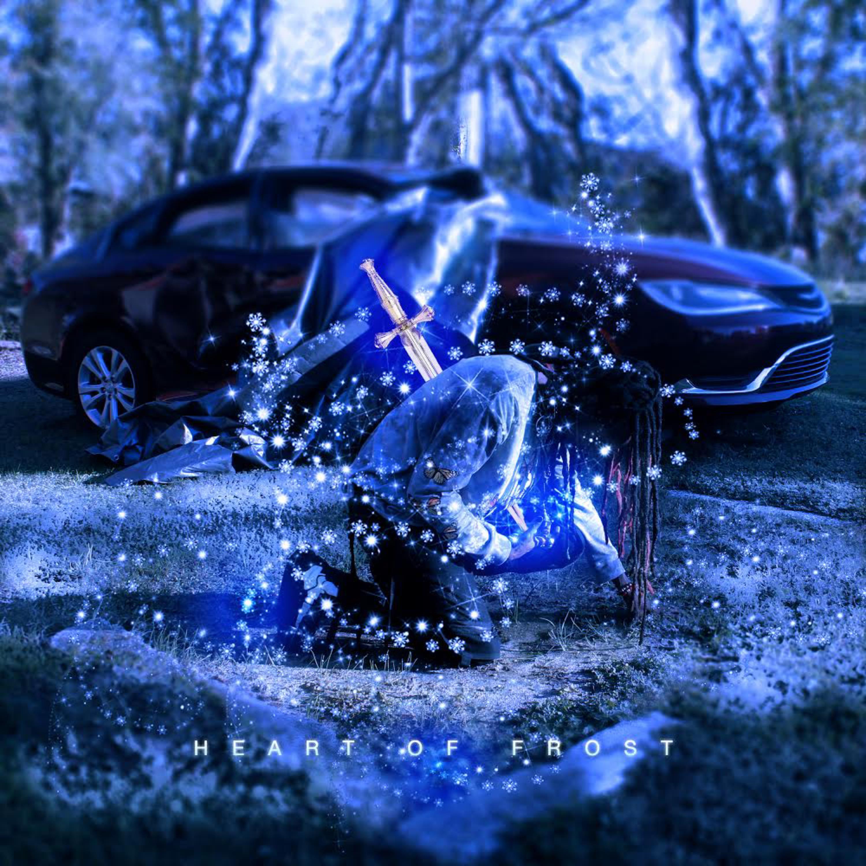 Heart Of Frost artwork