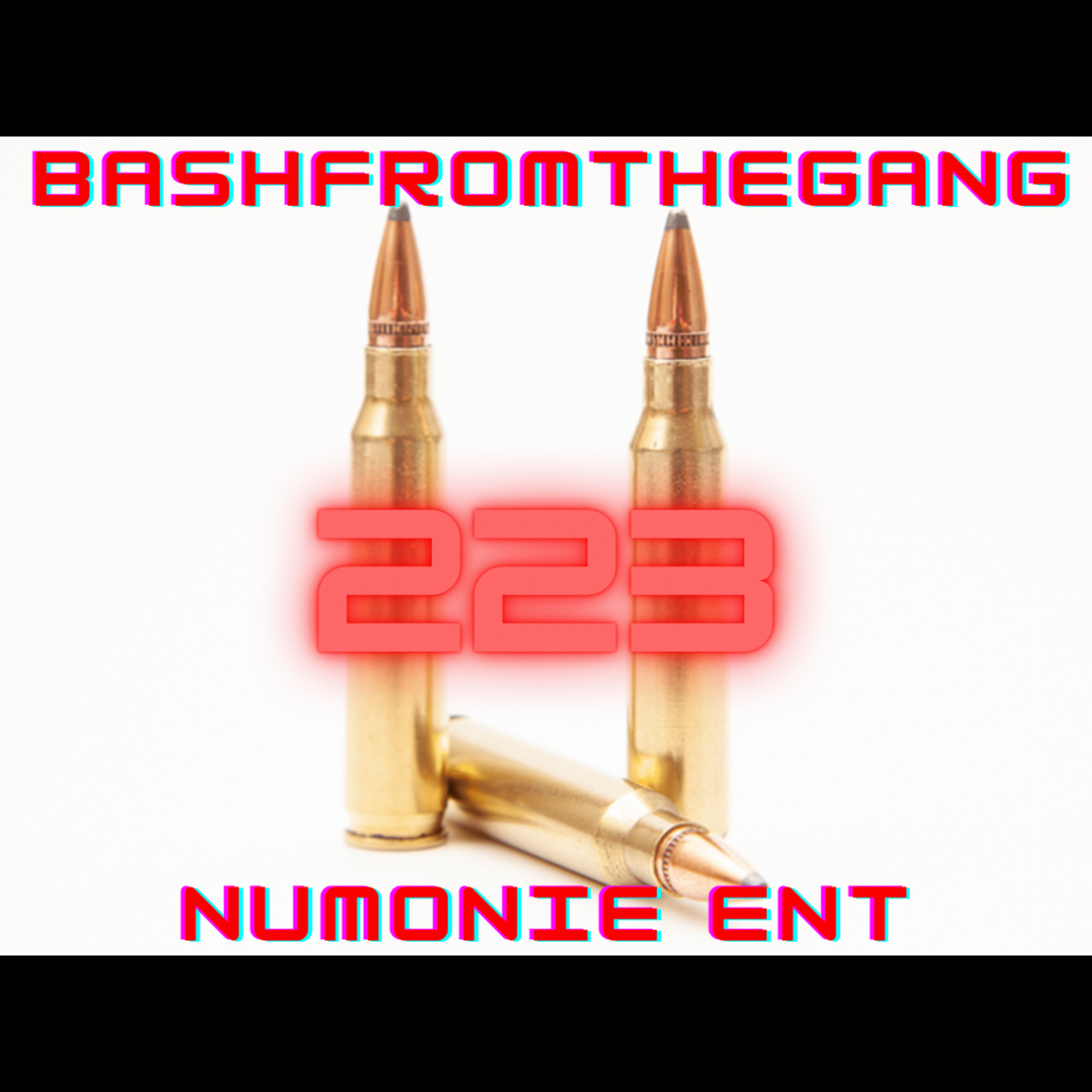 223 artwork