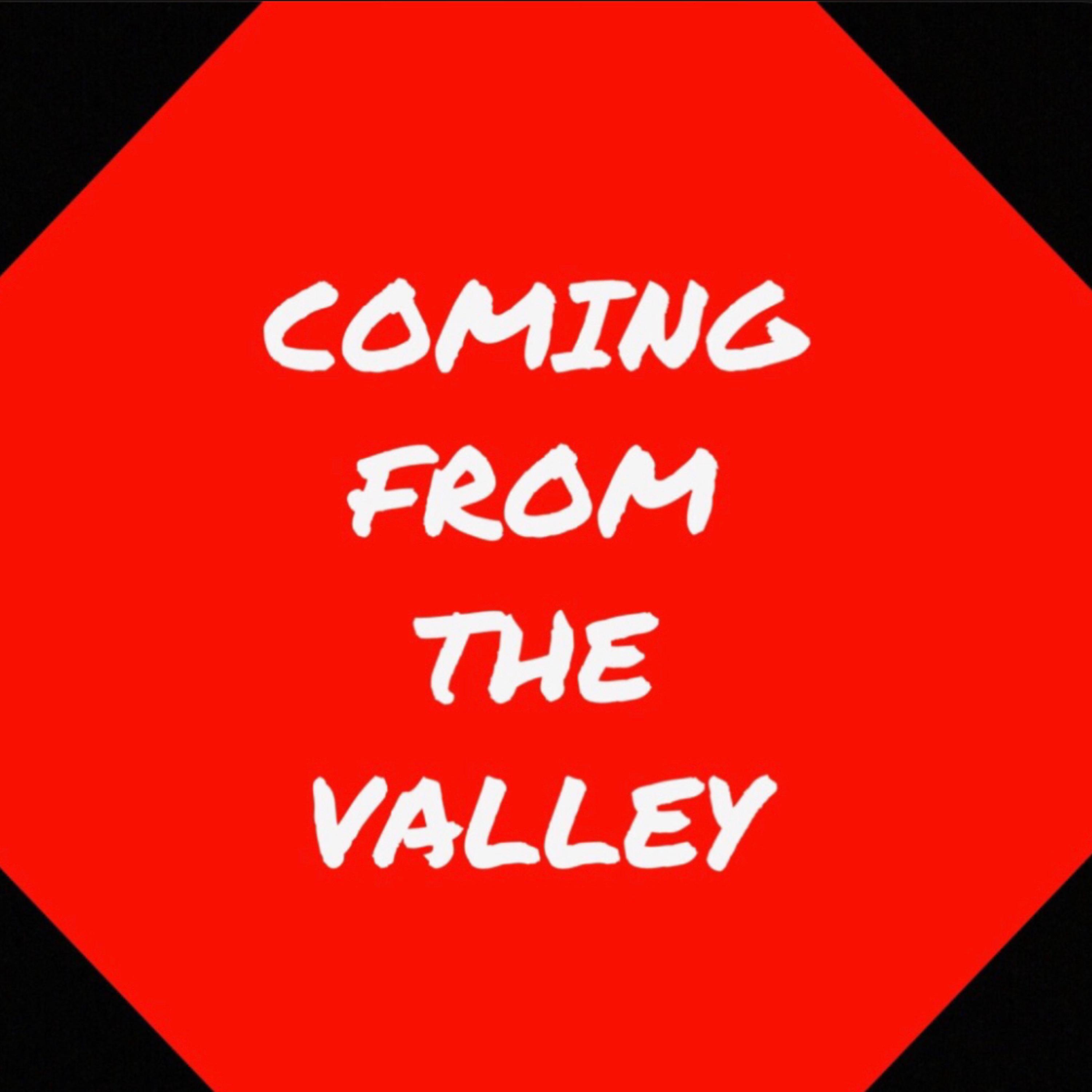 Coming From The Valley artwork
