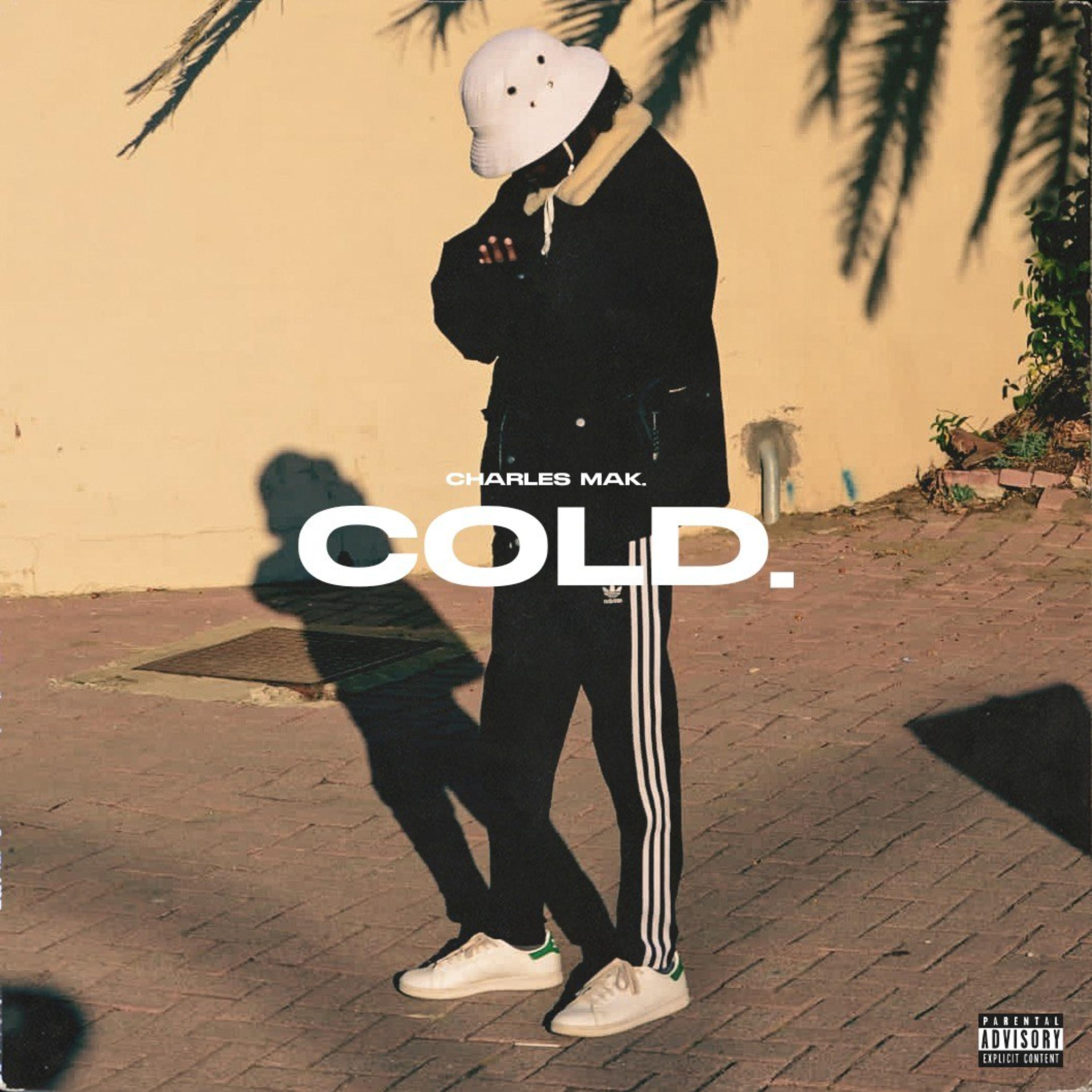 COLD. artwork
