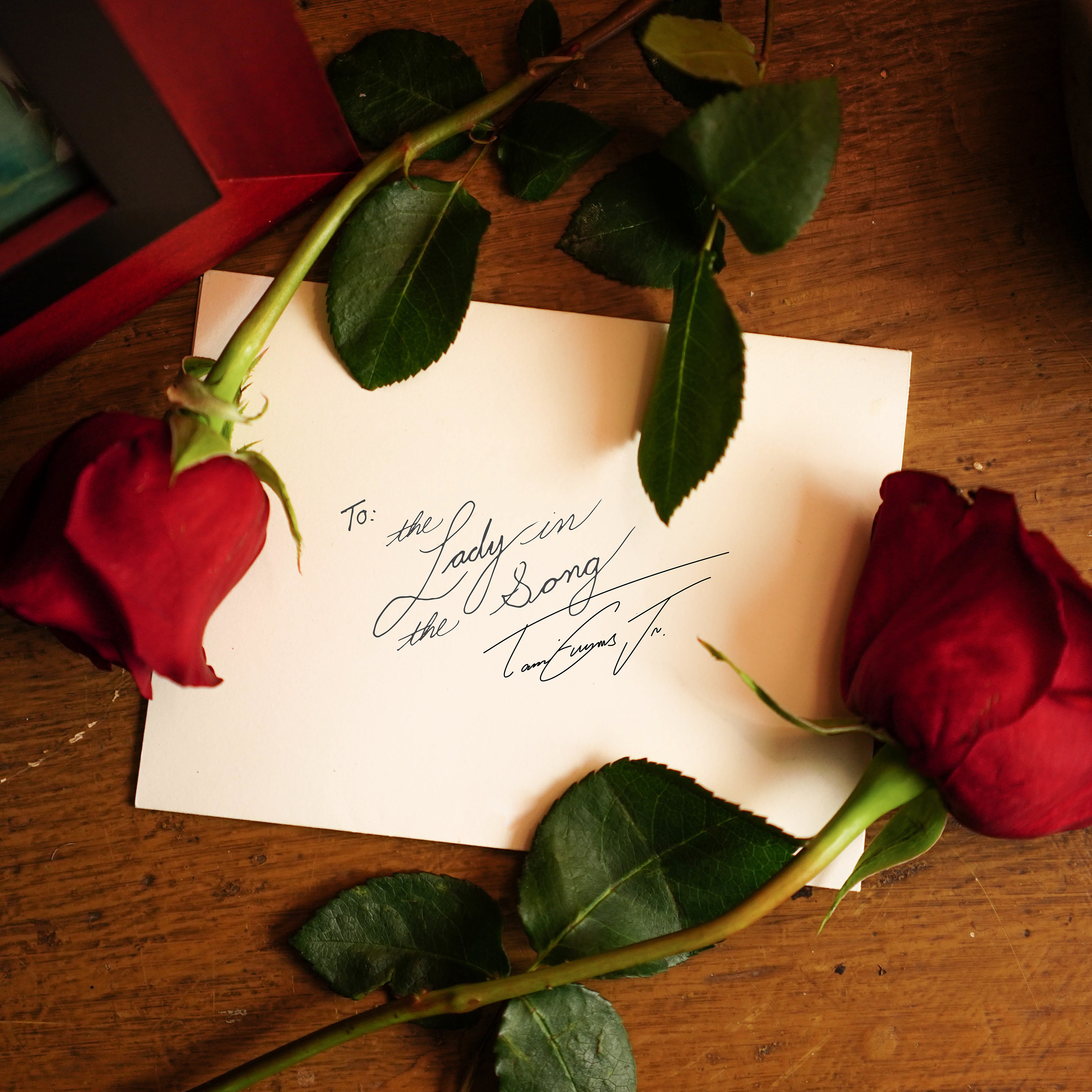 Lady In The Song artwork