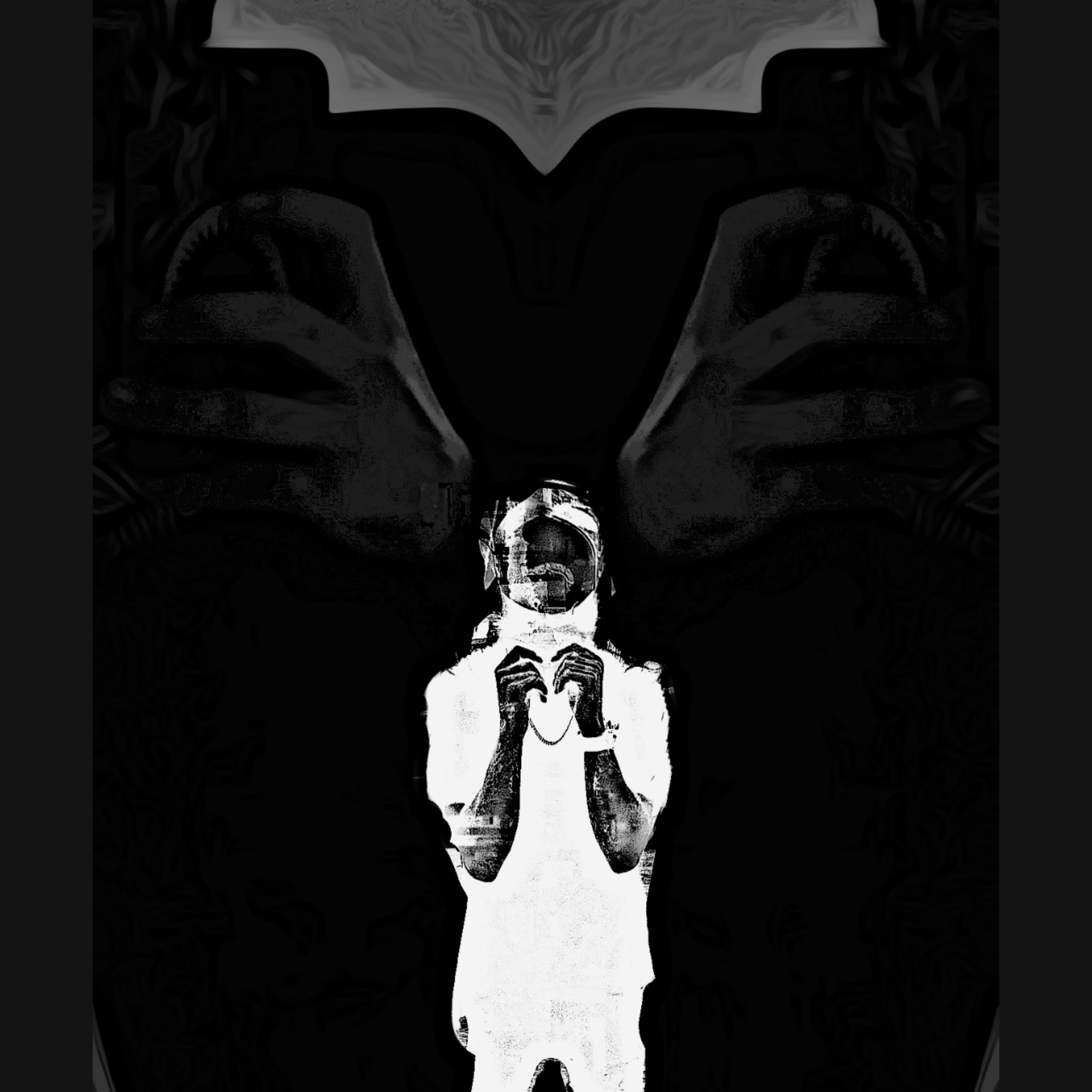 RearView artwork