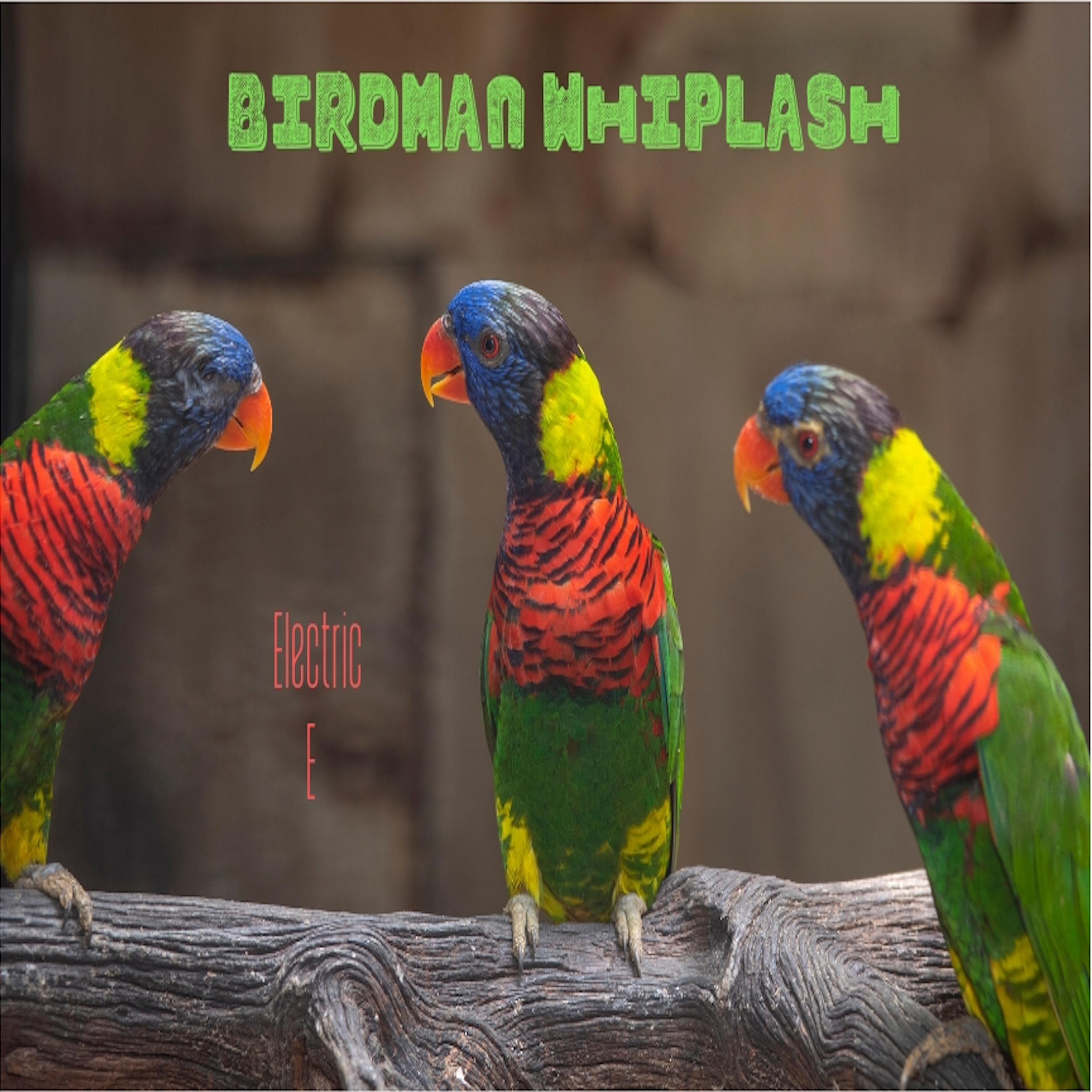 Birdman Whiplash artwork