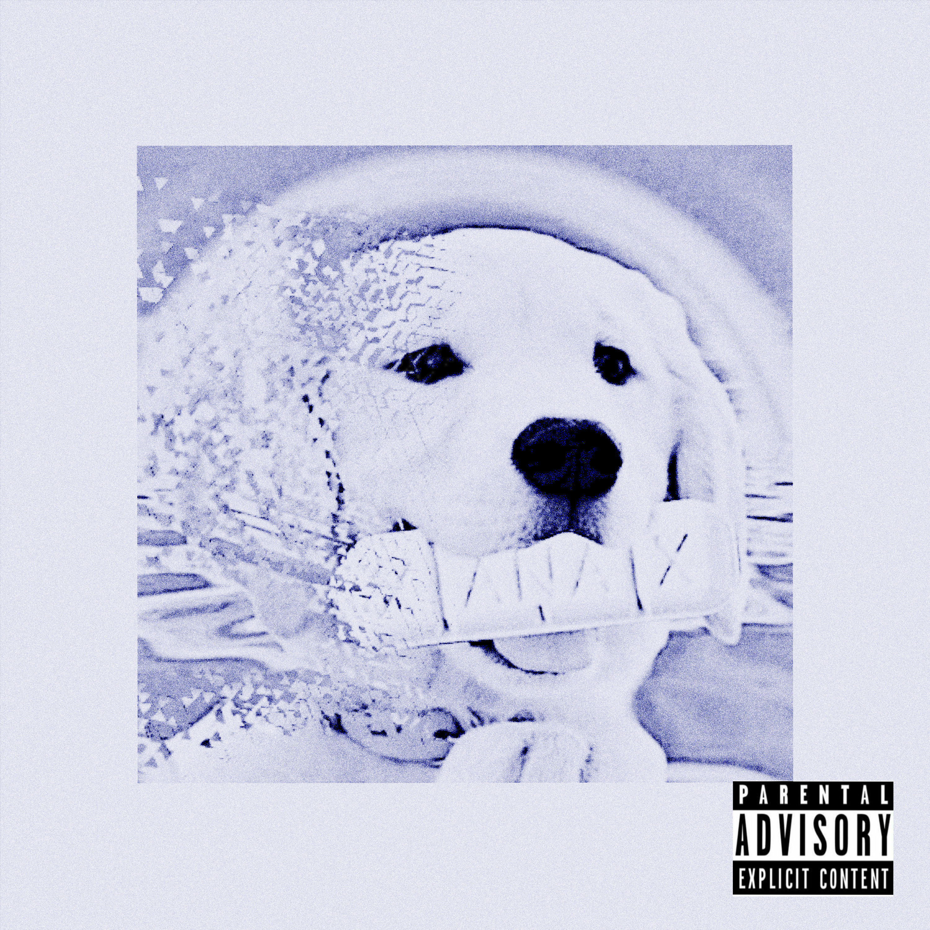 Xani artwork