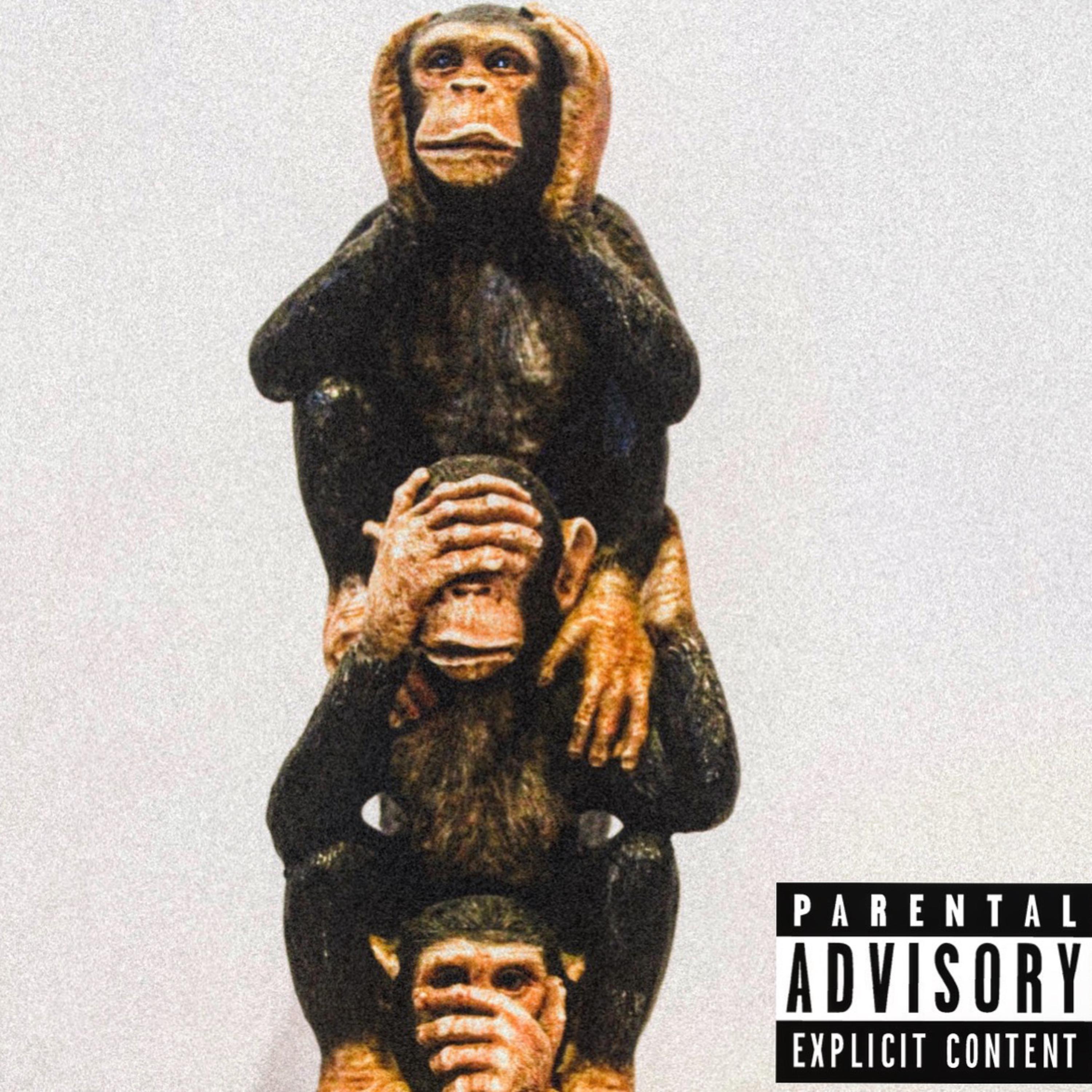 monkey see, monkey do artwork