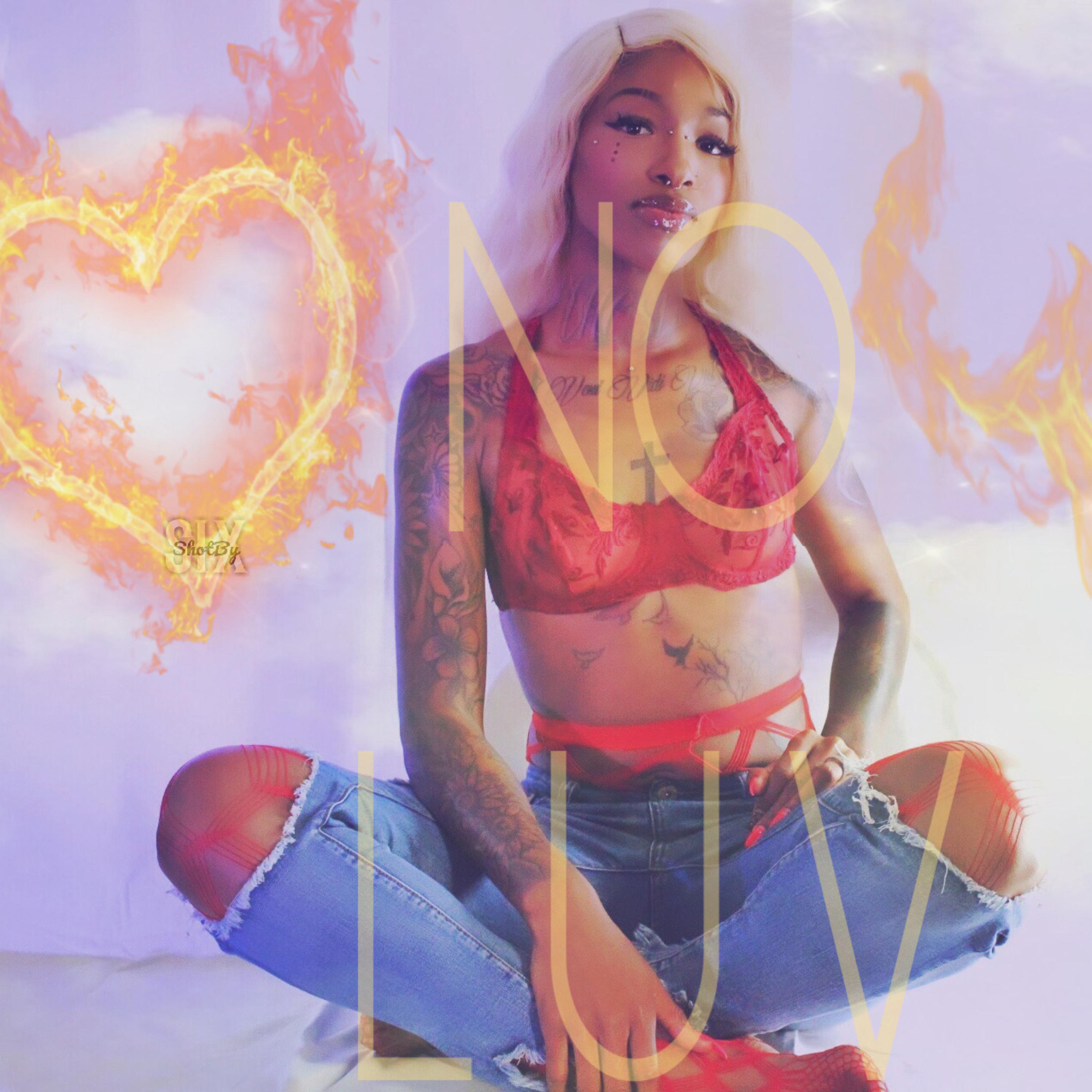 NO LUV by HELLKAT cover art