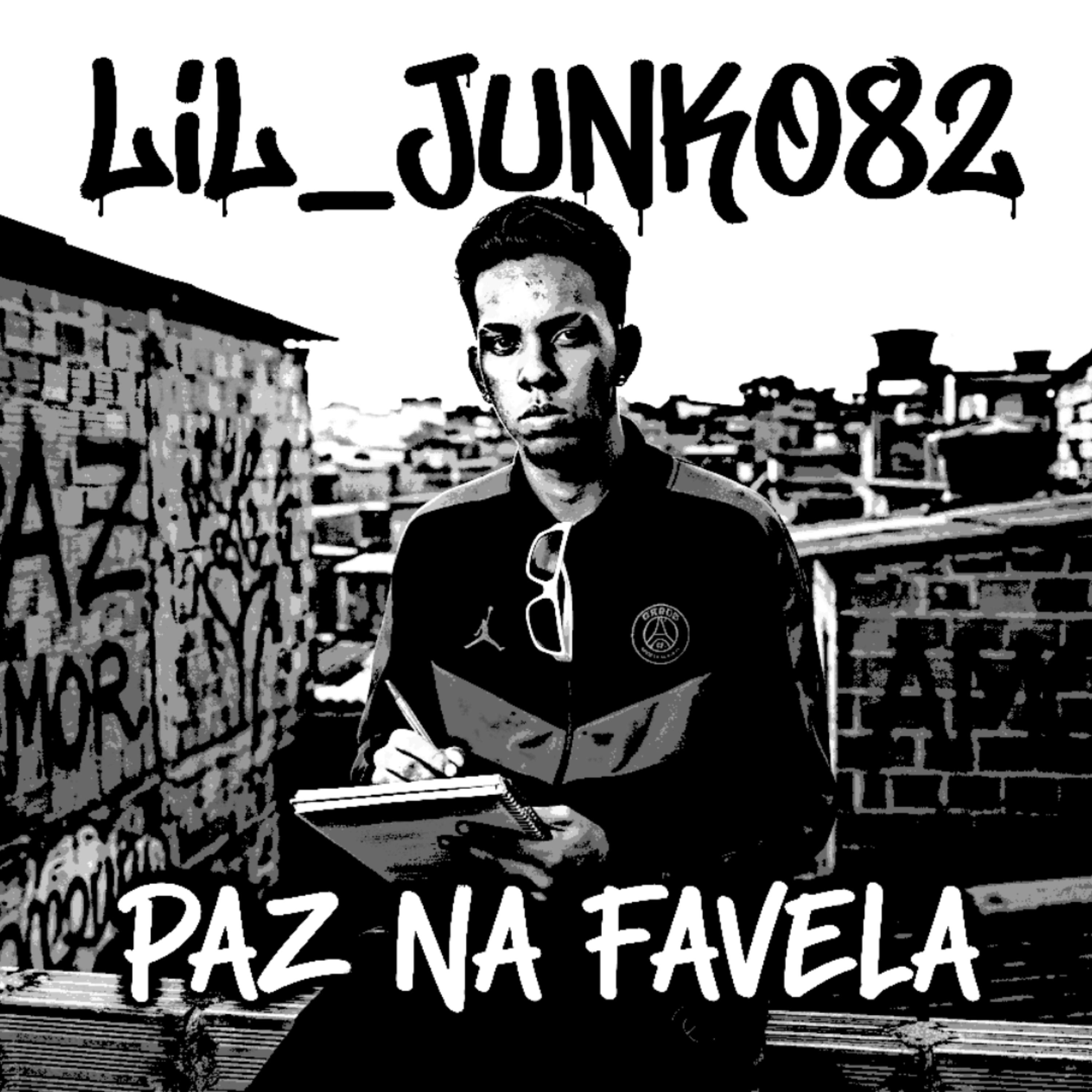 PAZ NA FAVELA artwork