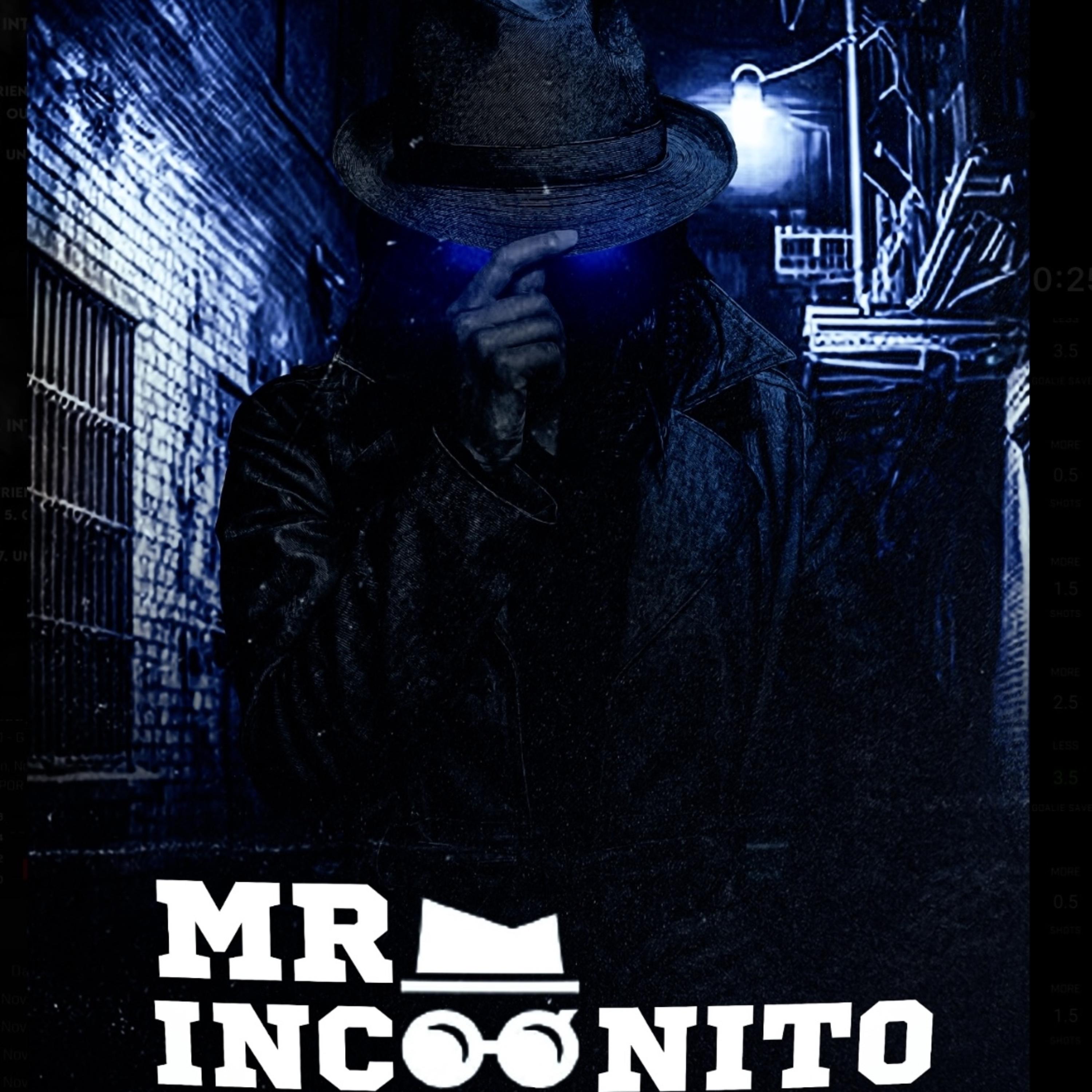 Mr Incognito artwork