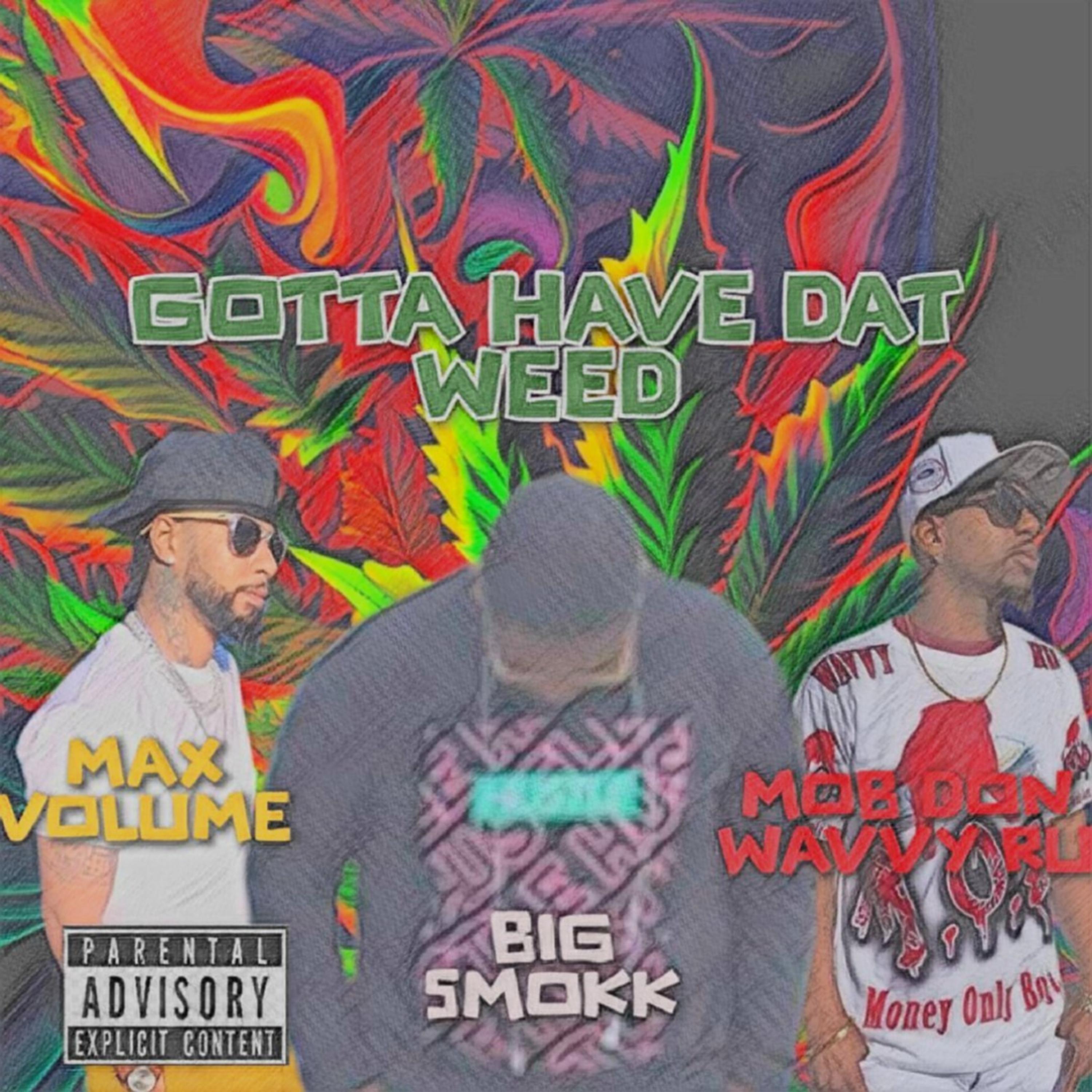 Gotta Have Dat Weed by Mob Don Wavvy Ru cover art