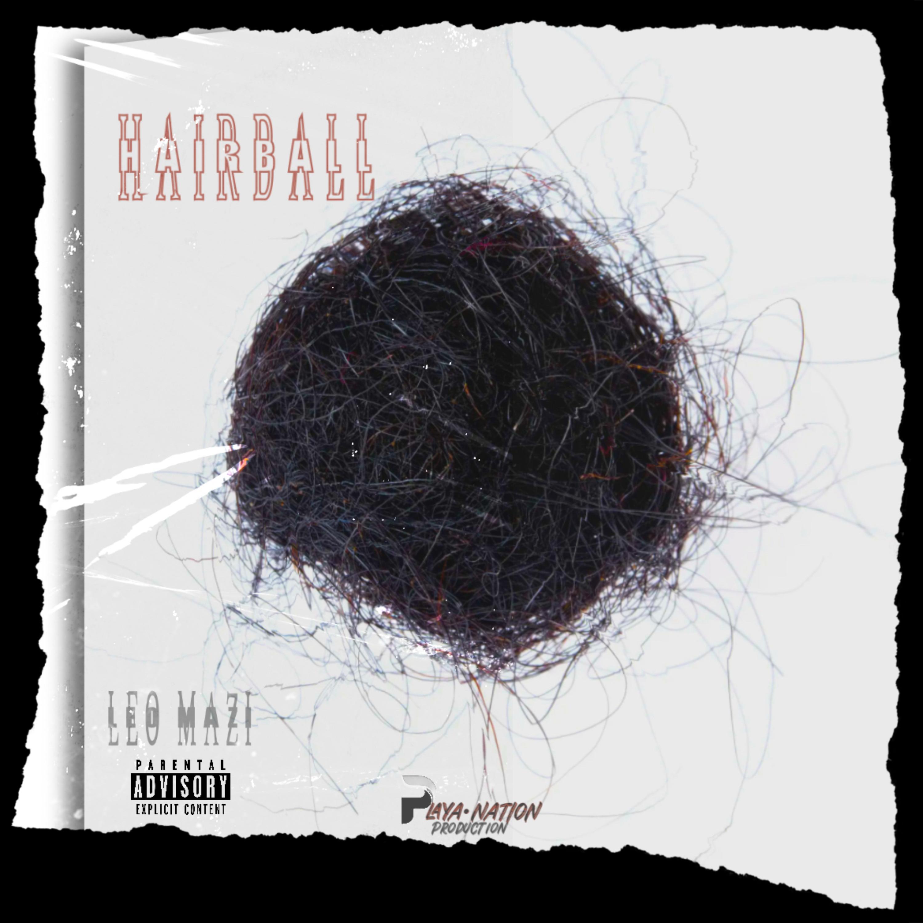 Hairball artwork
