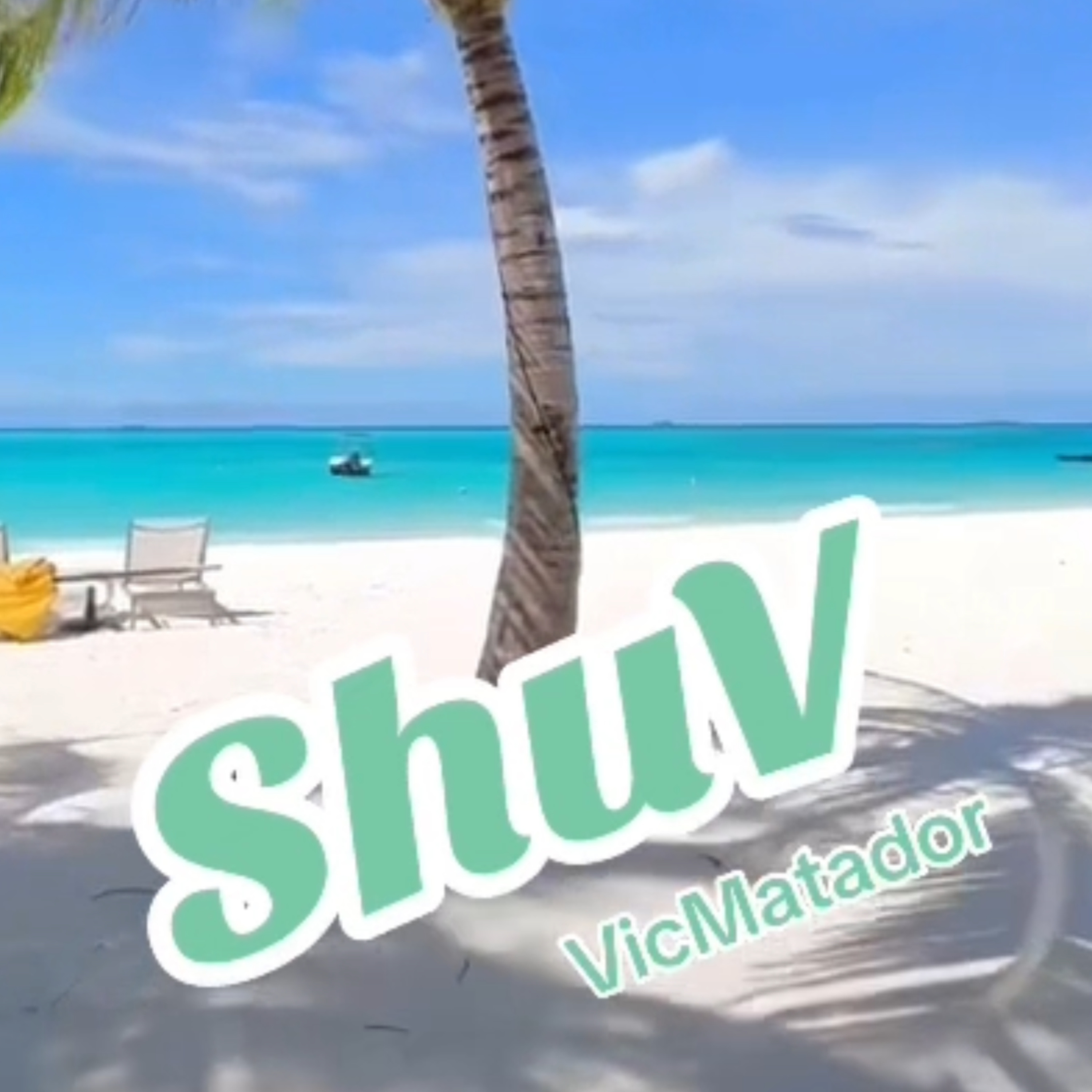 SHUV artwork