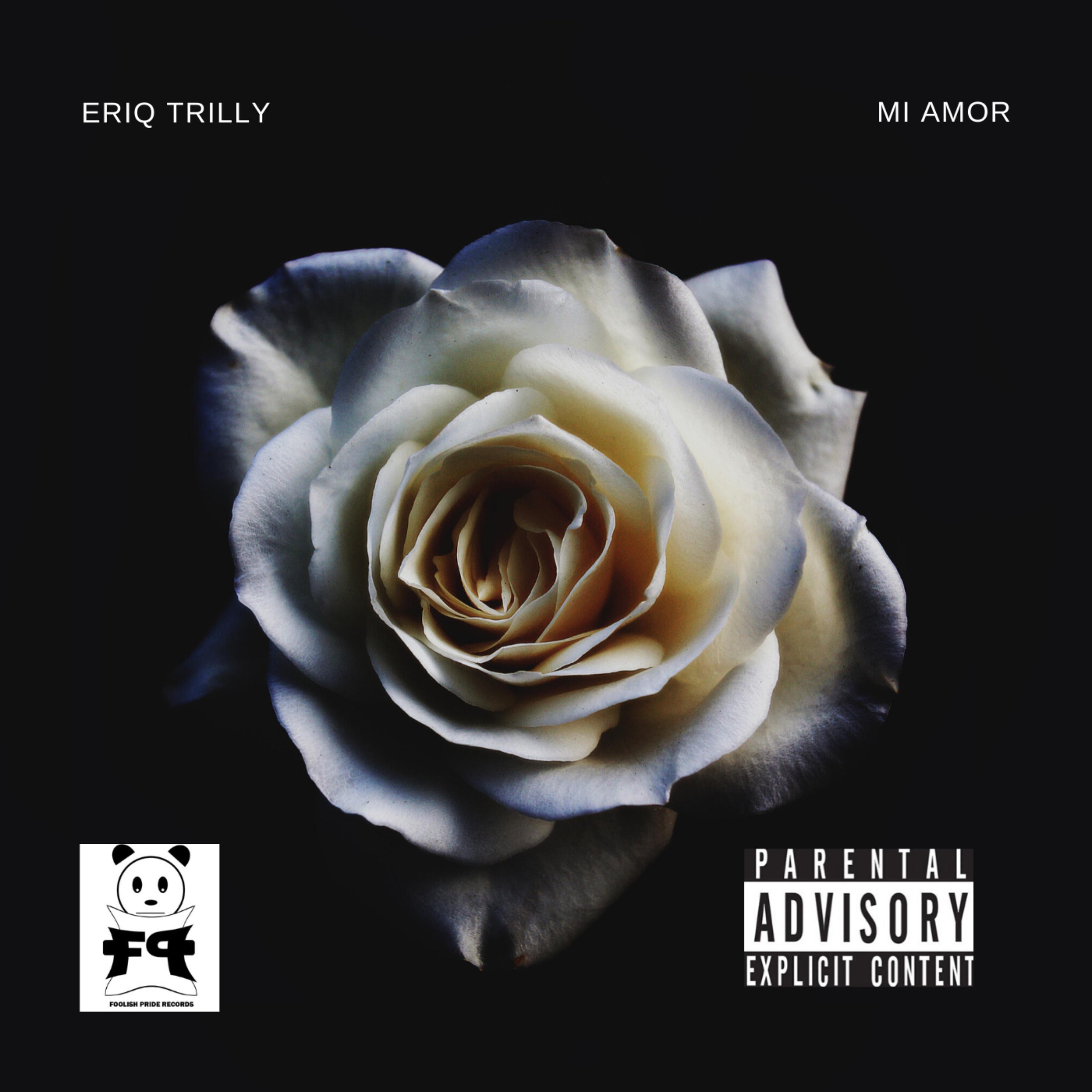 Mi Amor (Freestyle) artwork