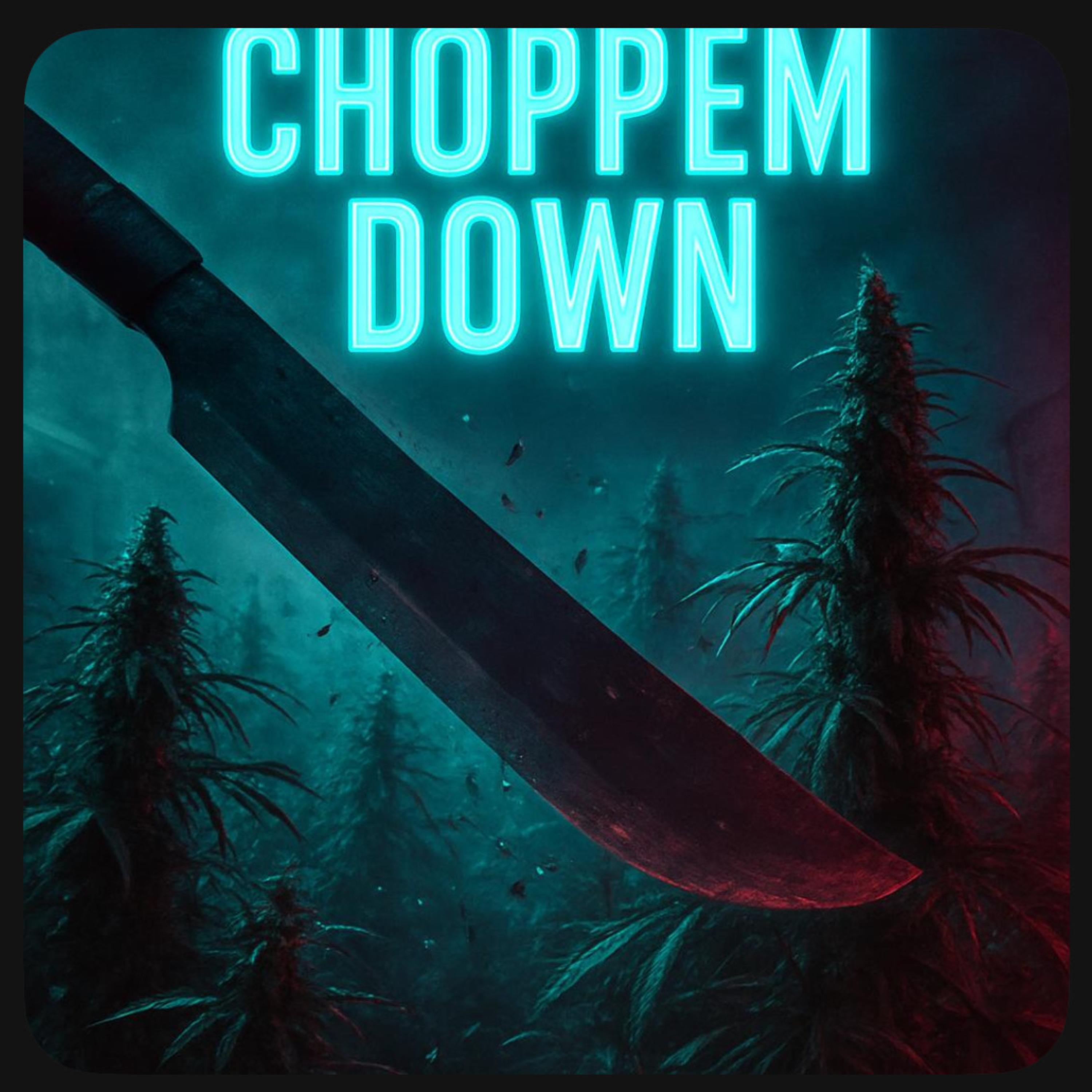 CHOPPEM DOWN artwork