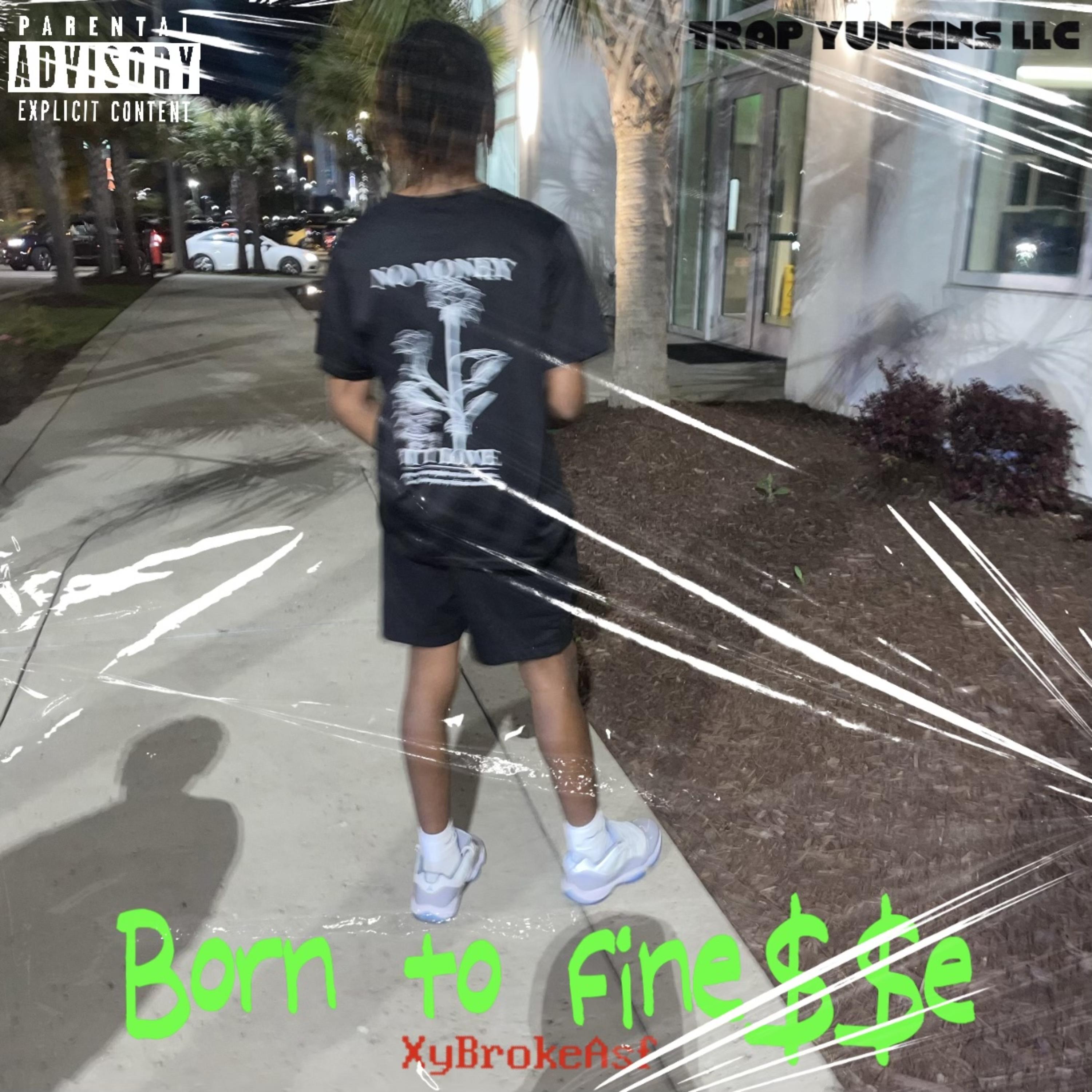 Born To Finesse artwork