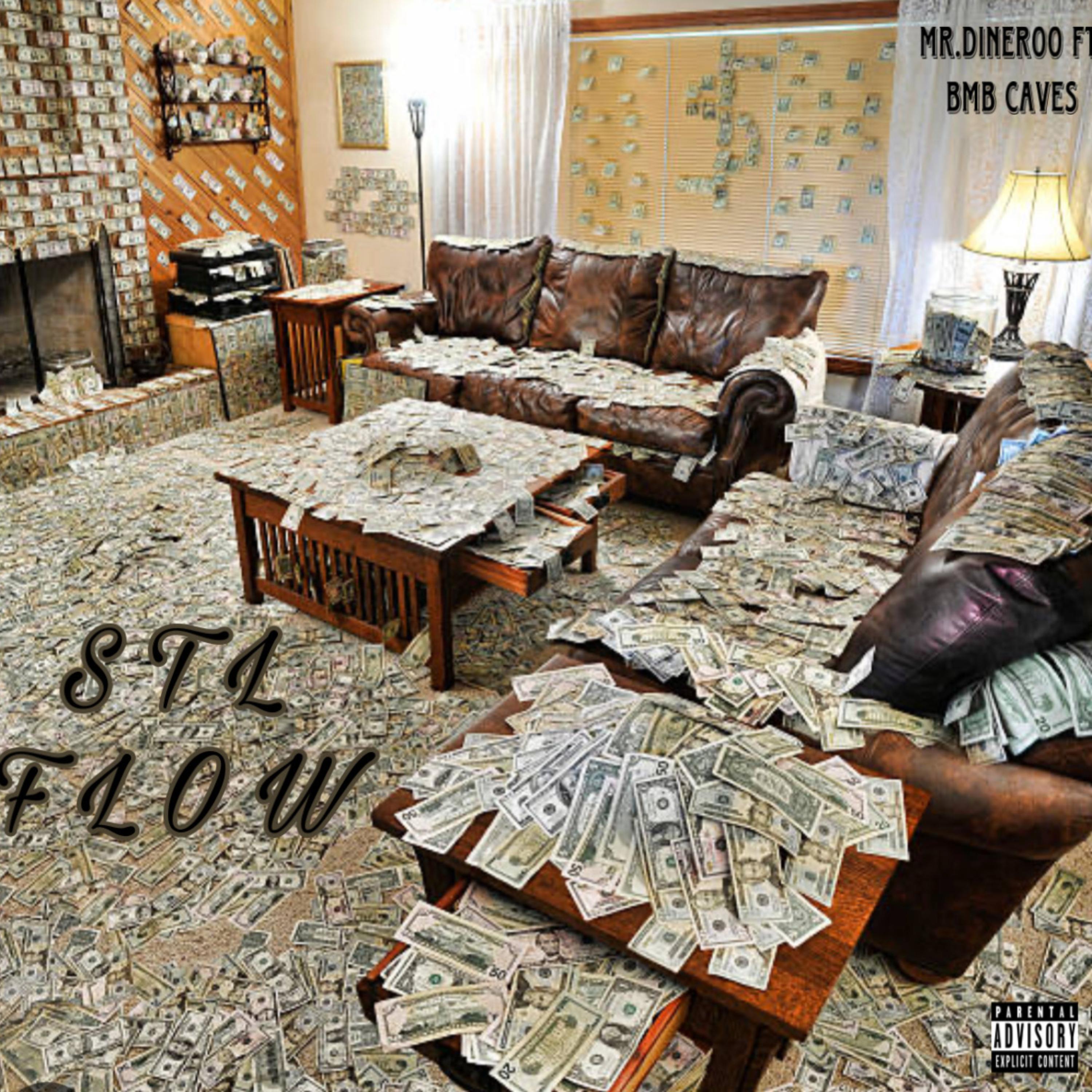 STL FLOW artwork