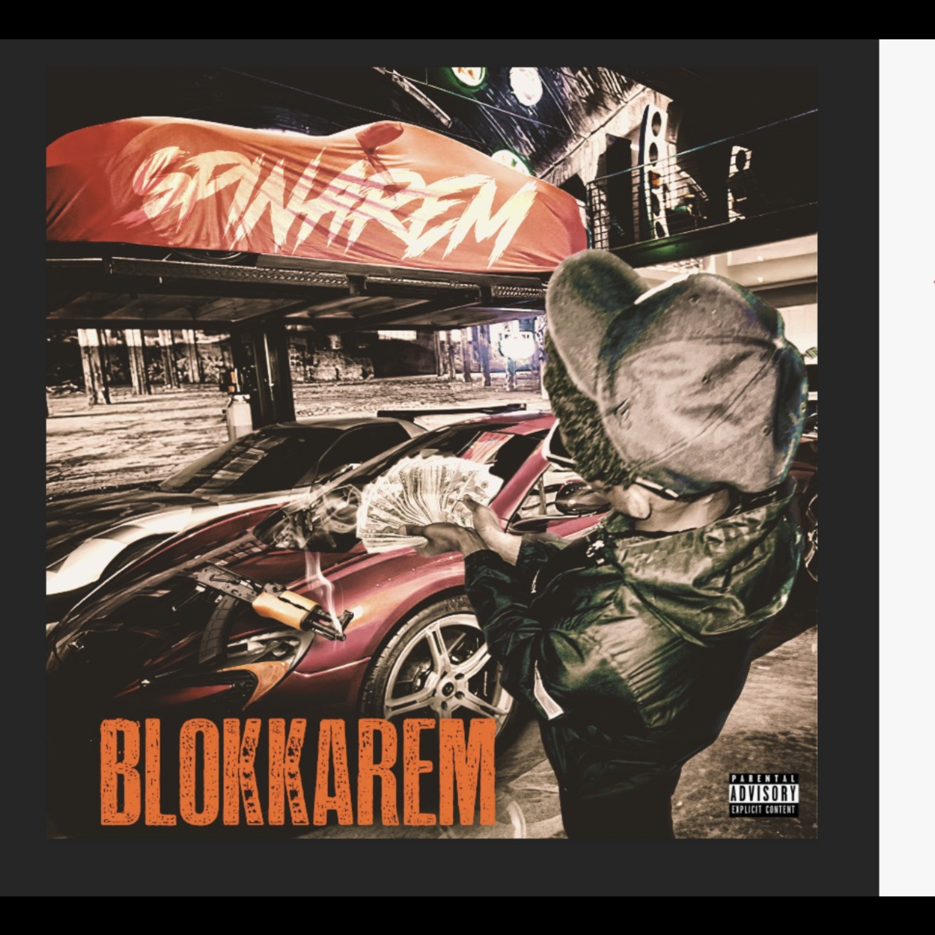 SpinaRem artwork