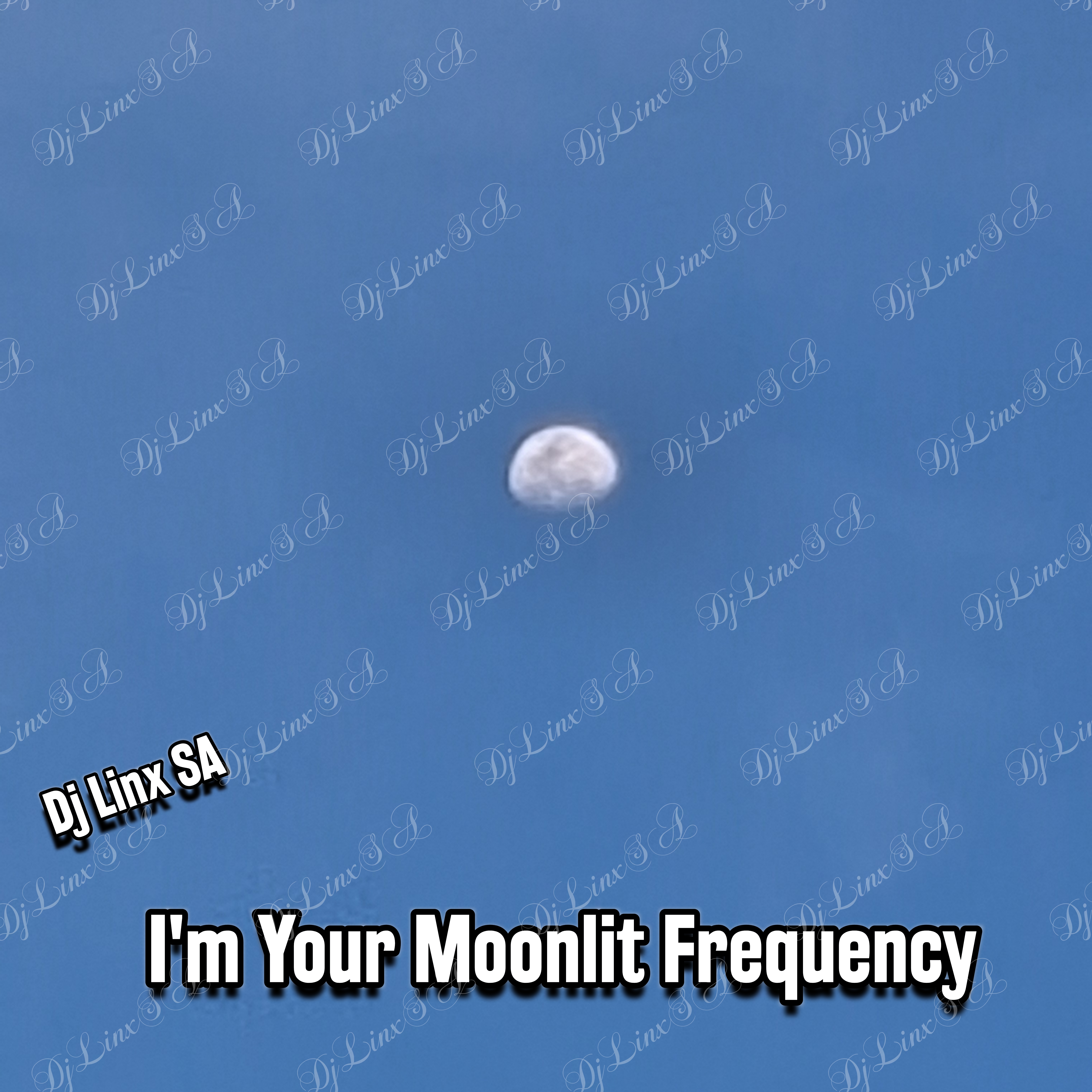 I'm Your Moonlit Frequency artwork