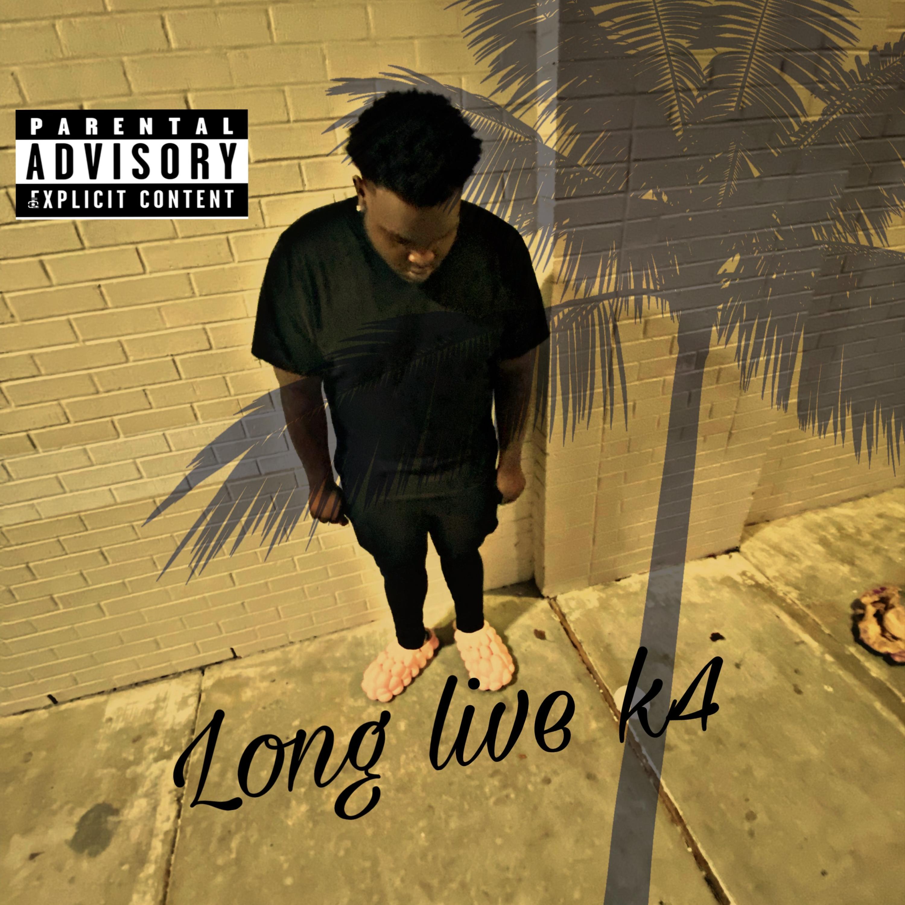 K4 artwork