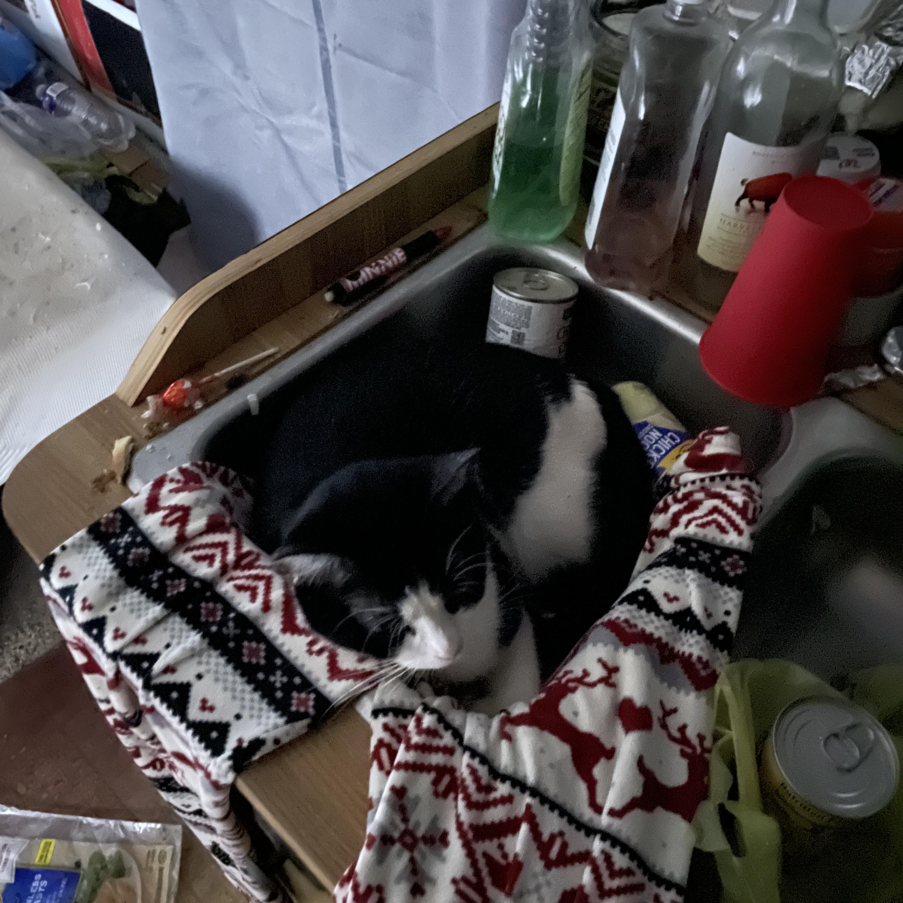 My Life Line artwork