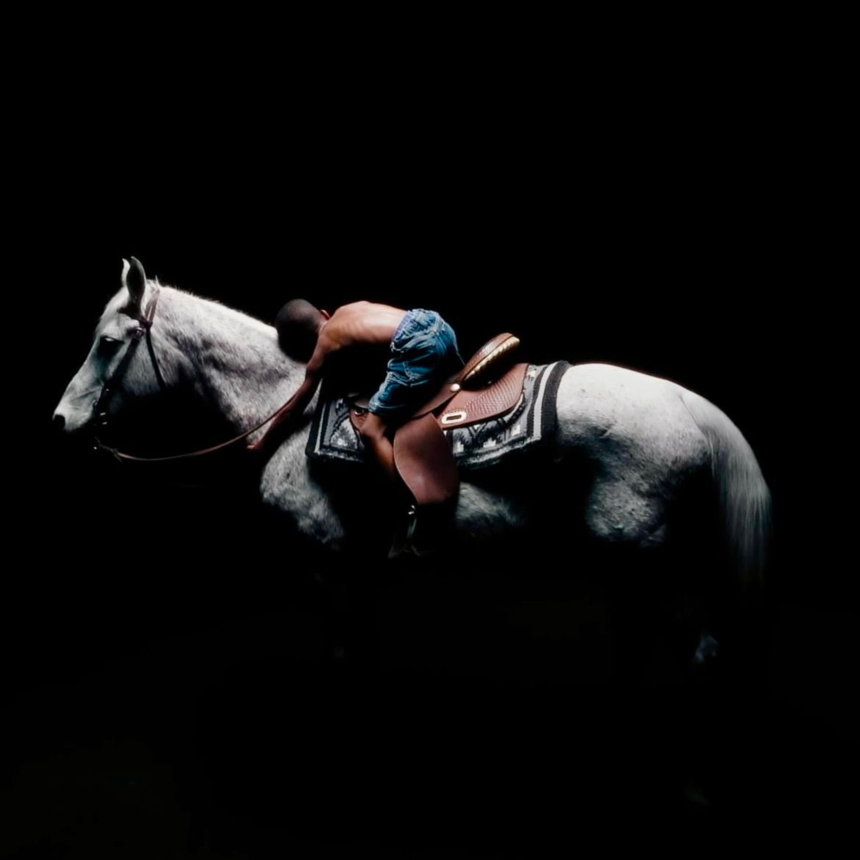 NO GUTS NO GLORY artwork