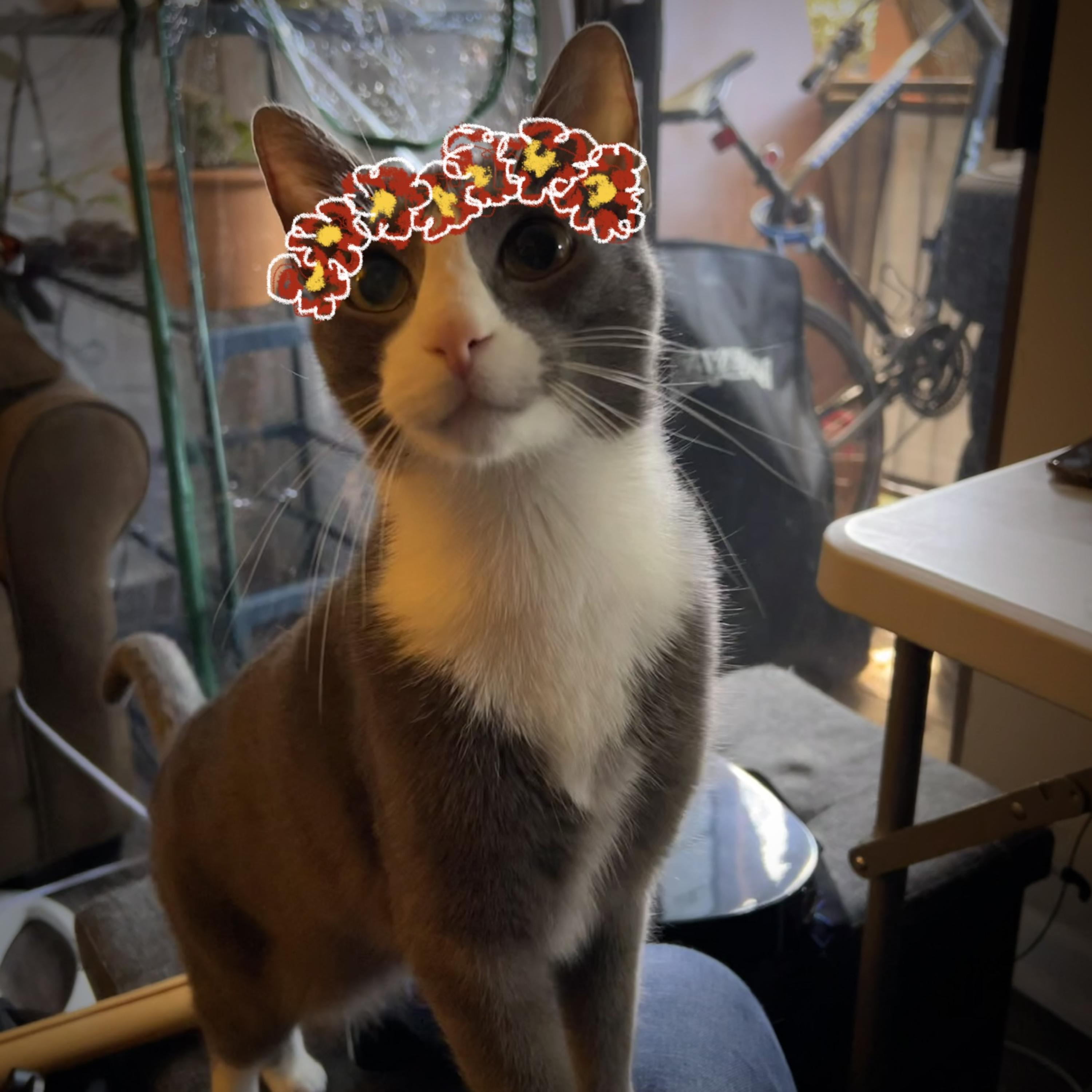 flower crown artwork