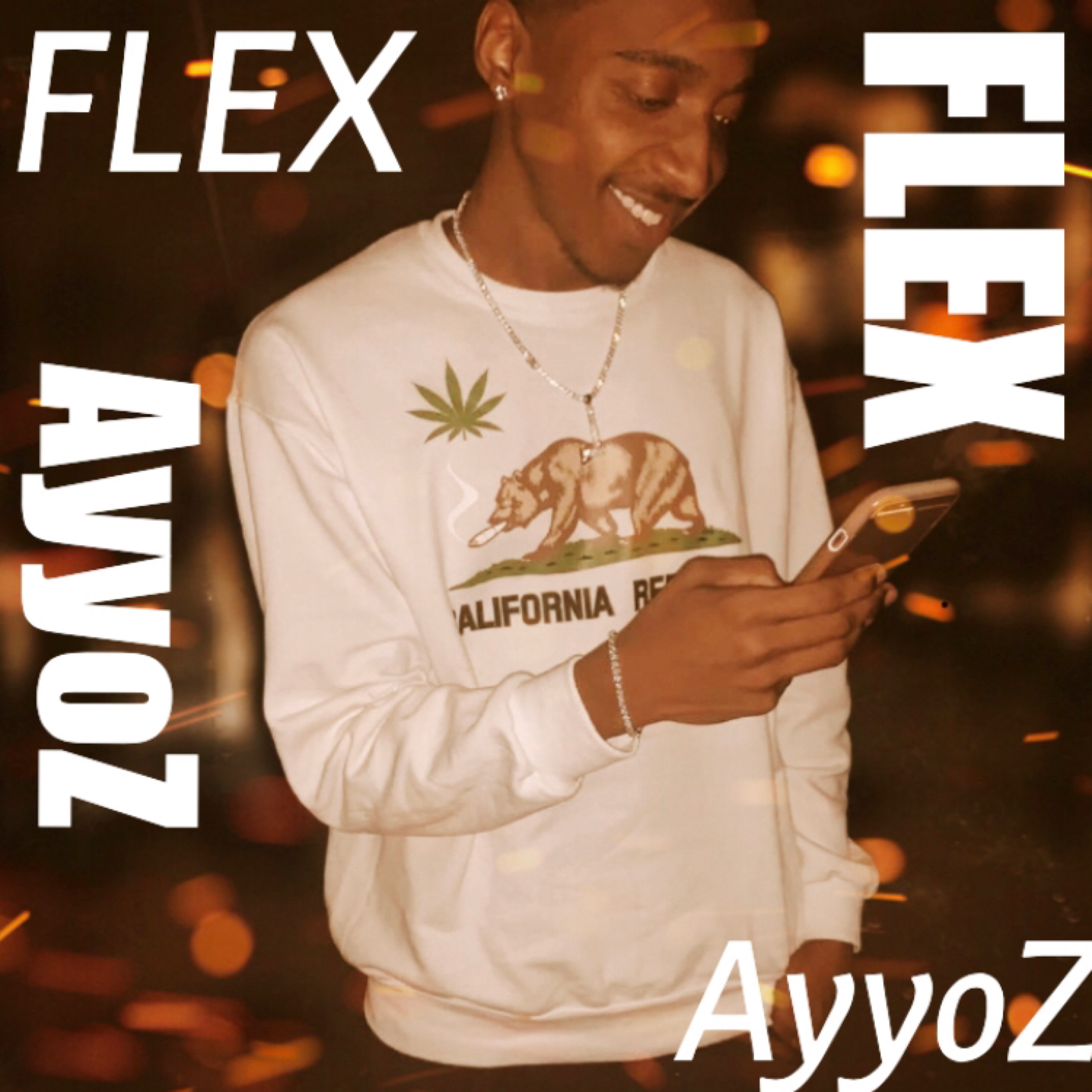 Flex artwork