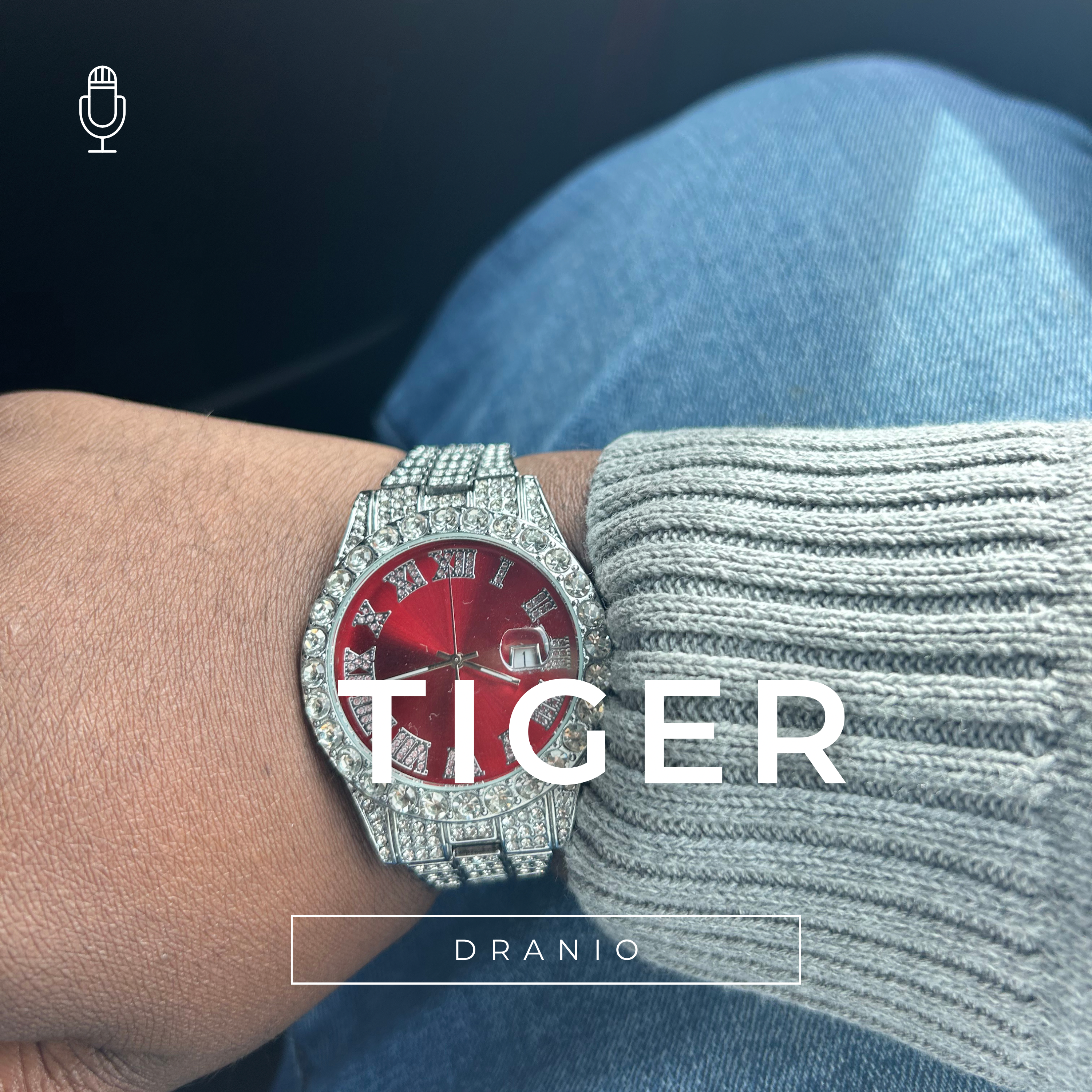 Tiger by Dranio cover art