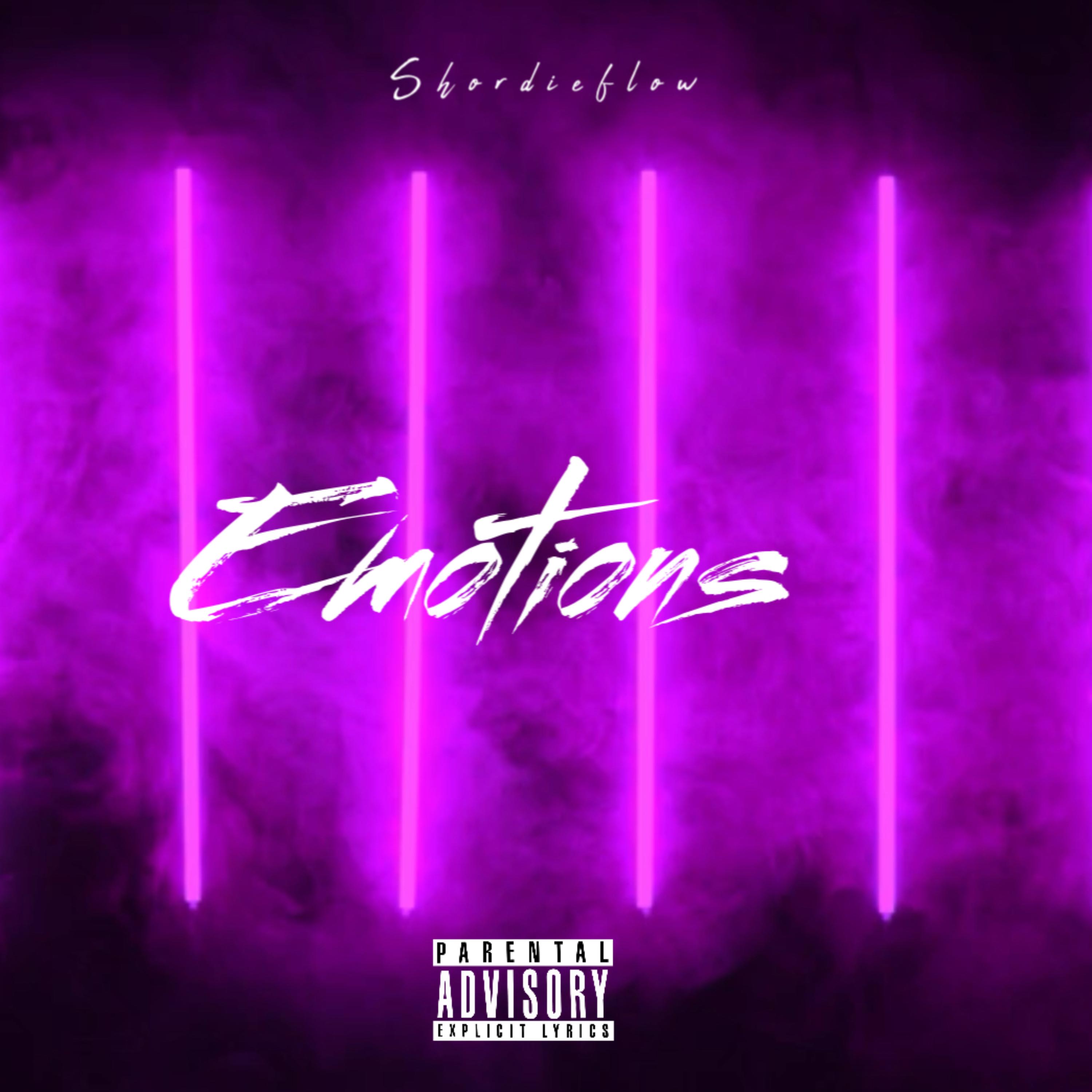 EMOTIONS artwork