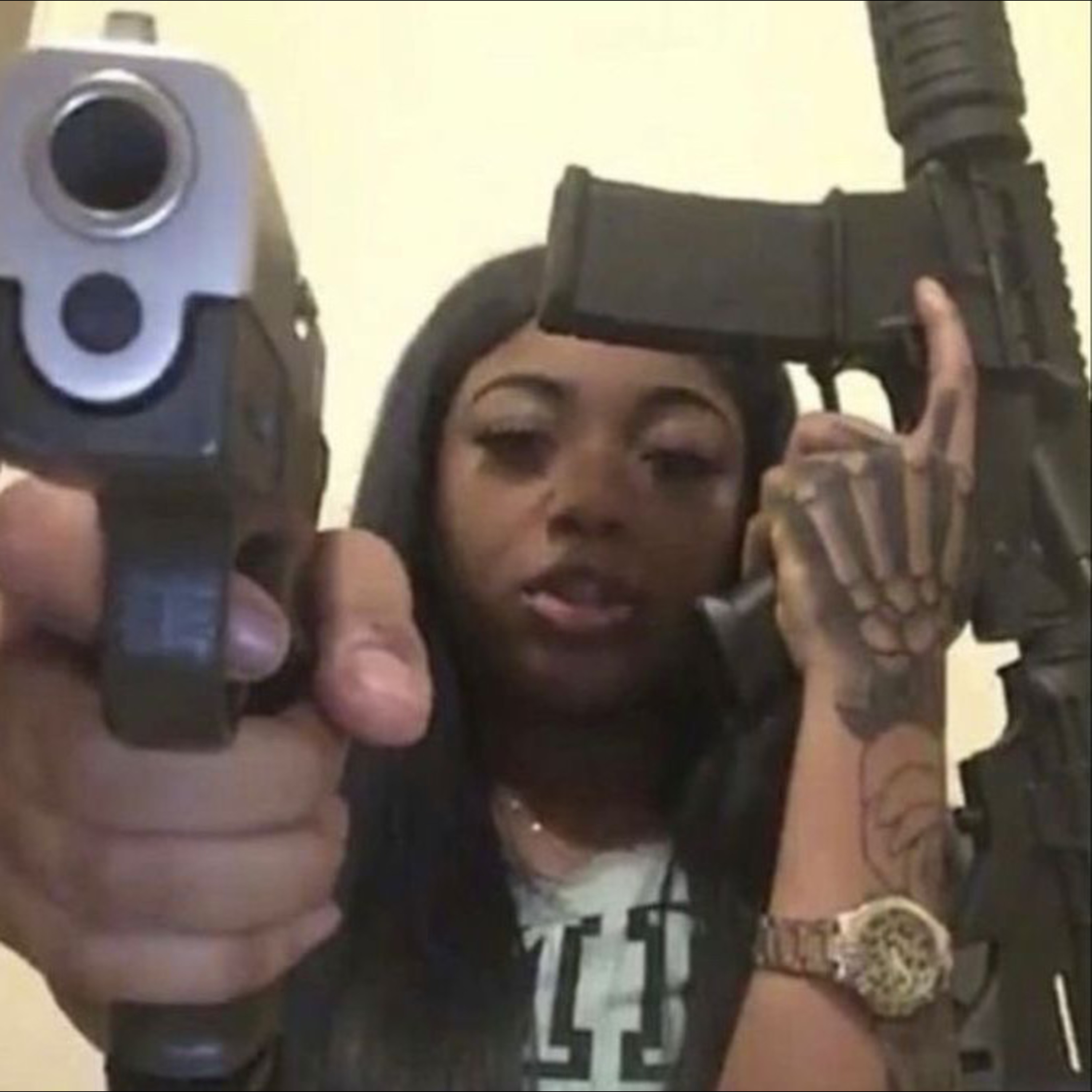 Animosity 4 The Birds artwork