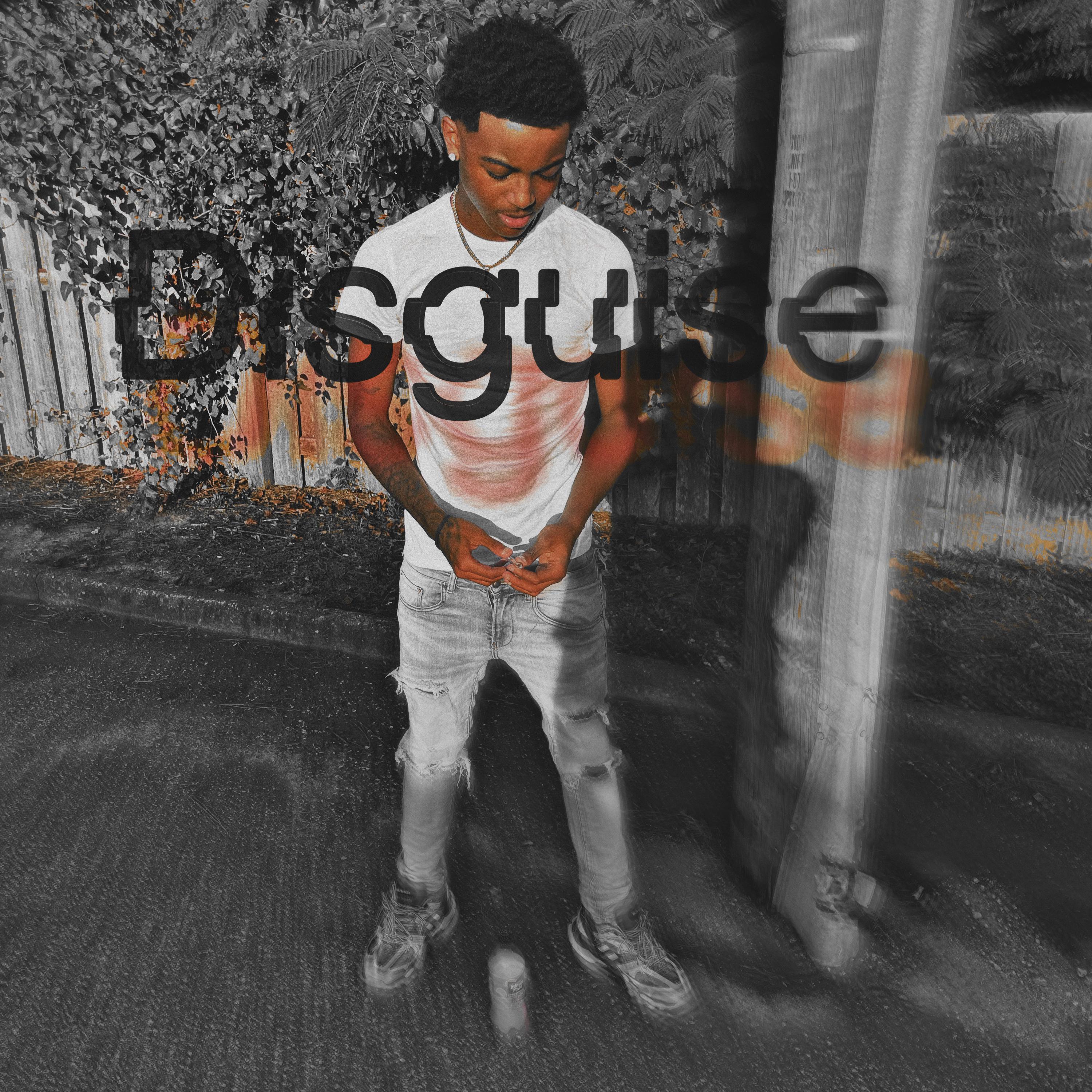Disguise artwork