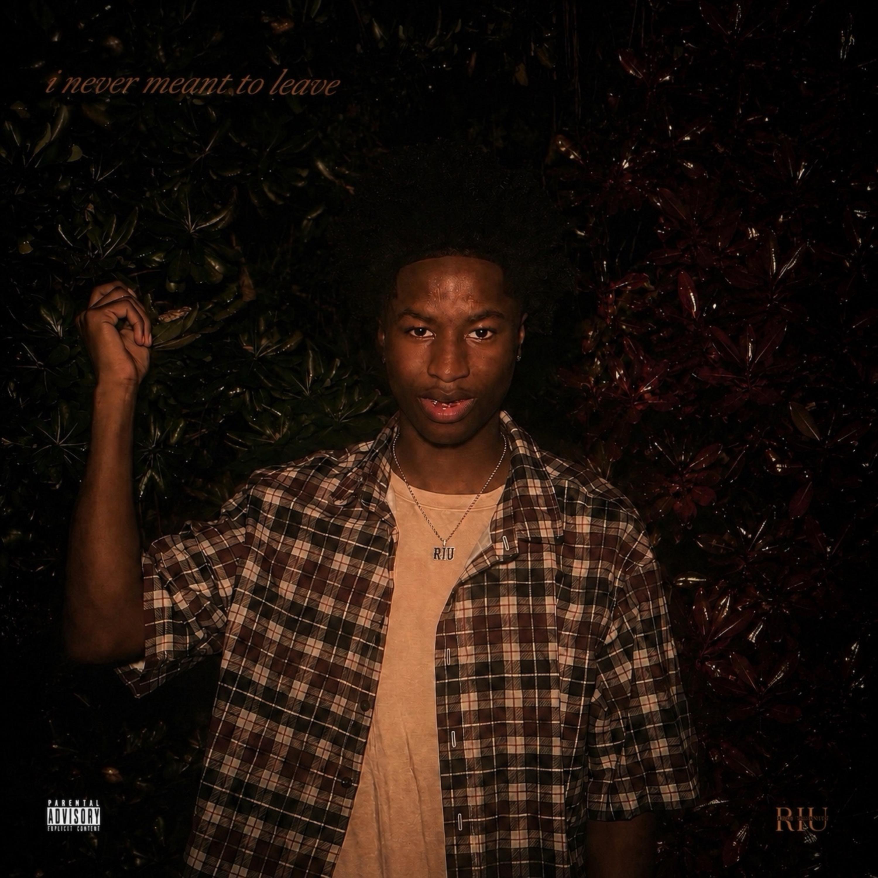 i never meant to leave by riuJD cover art