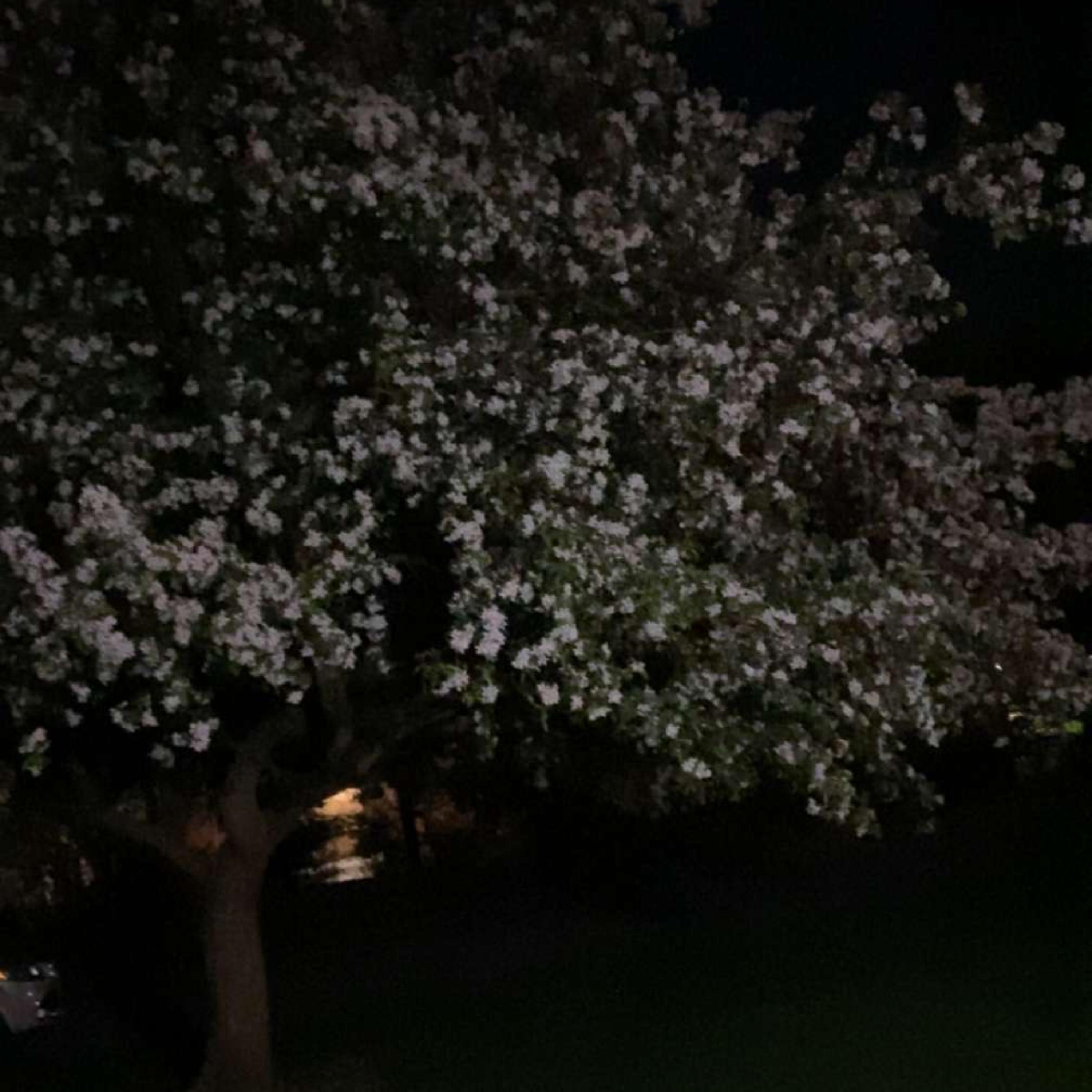 Closure artwork