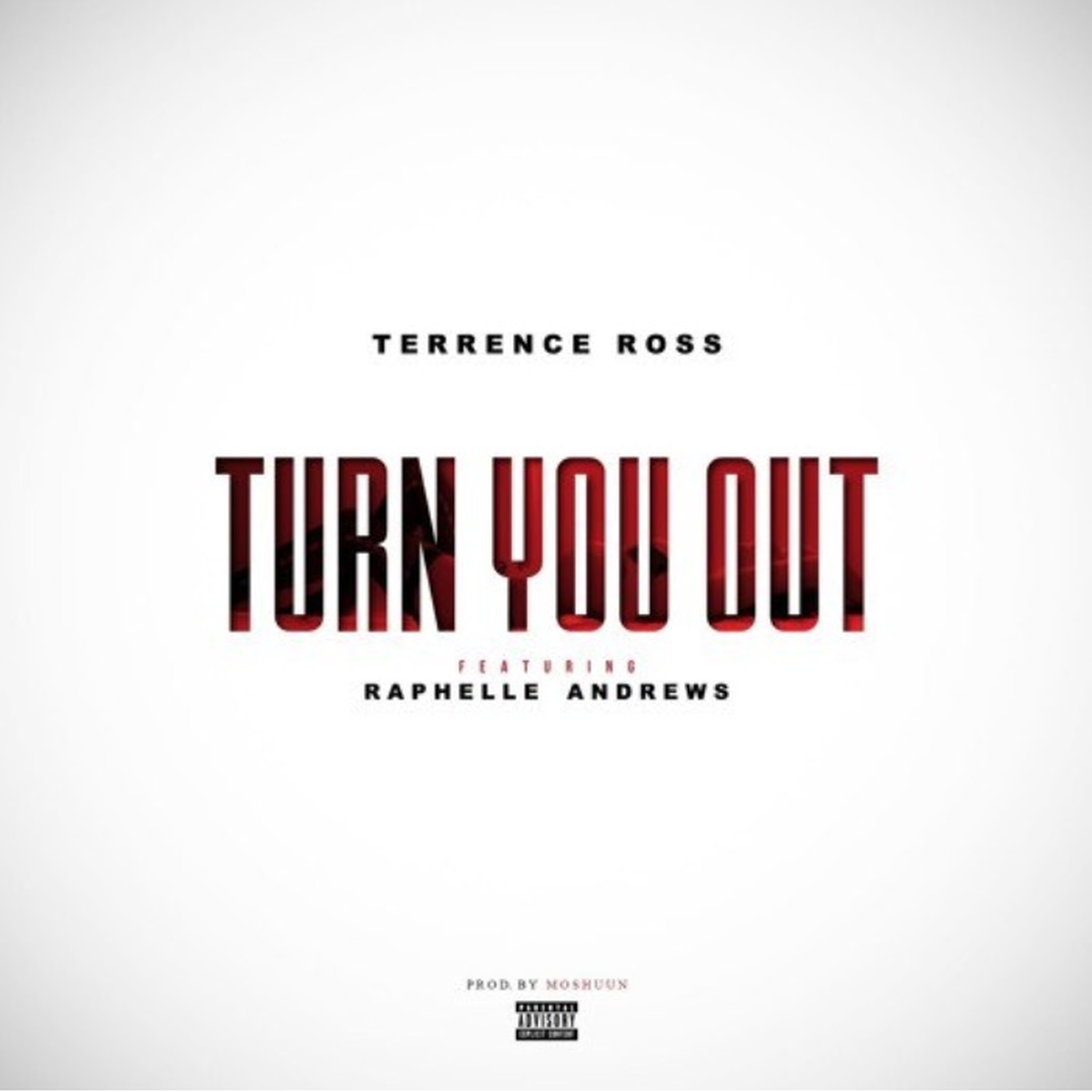 Turn You Out artwork