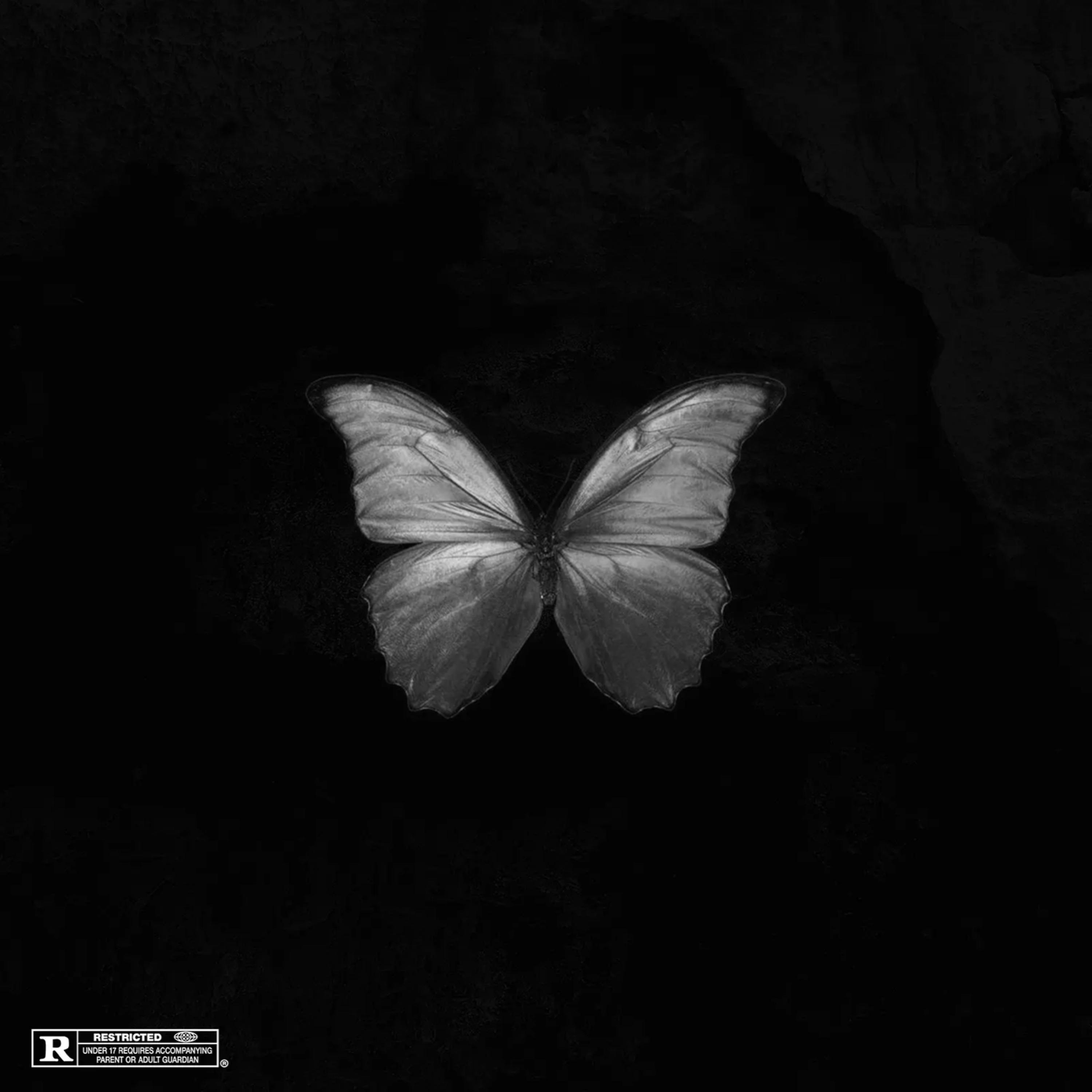 Butterfly Effect artwork