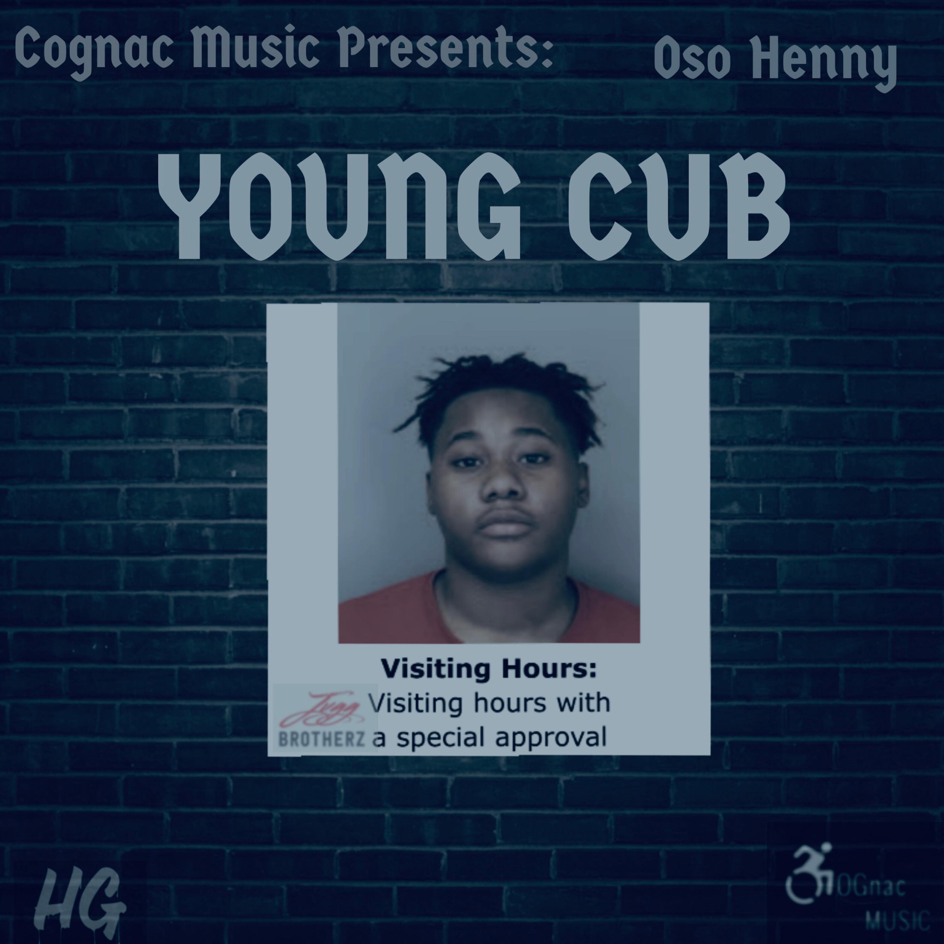 Young Cub artwork