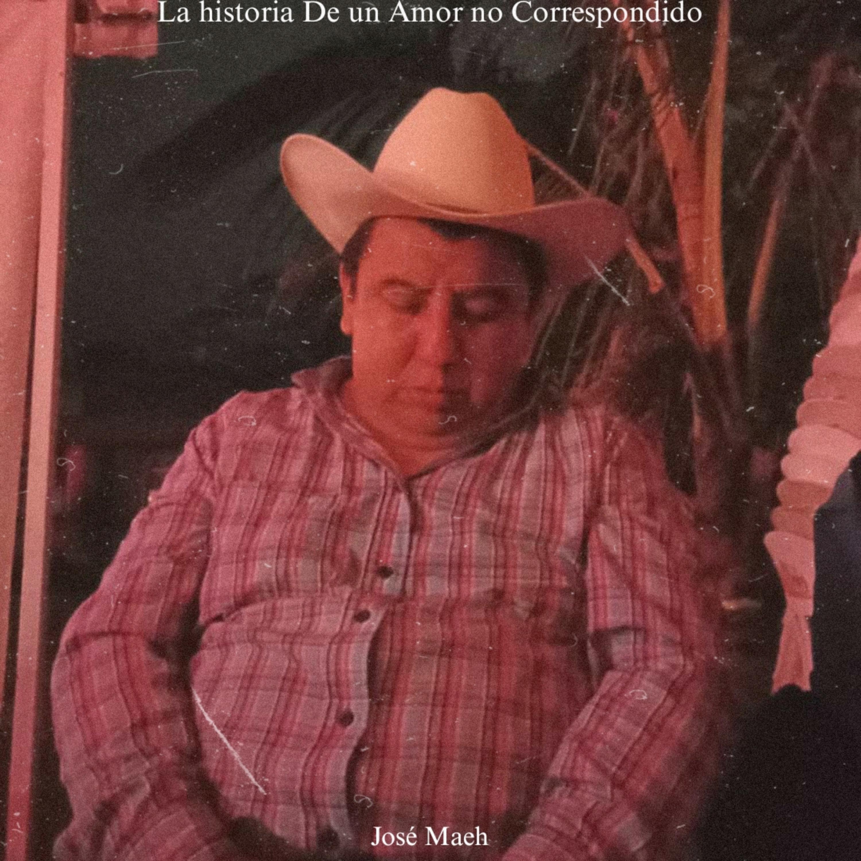 La historia de un amor no correspondido artwork