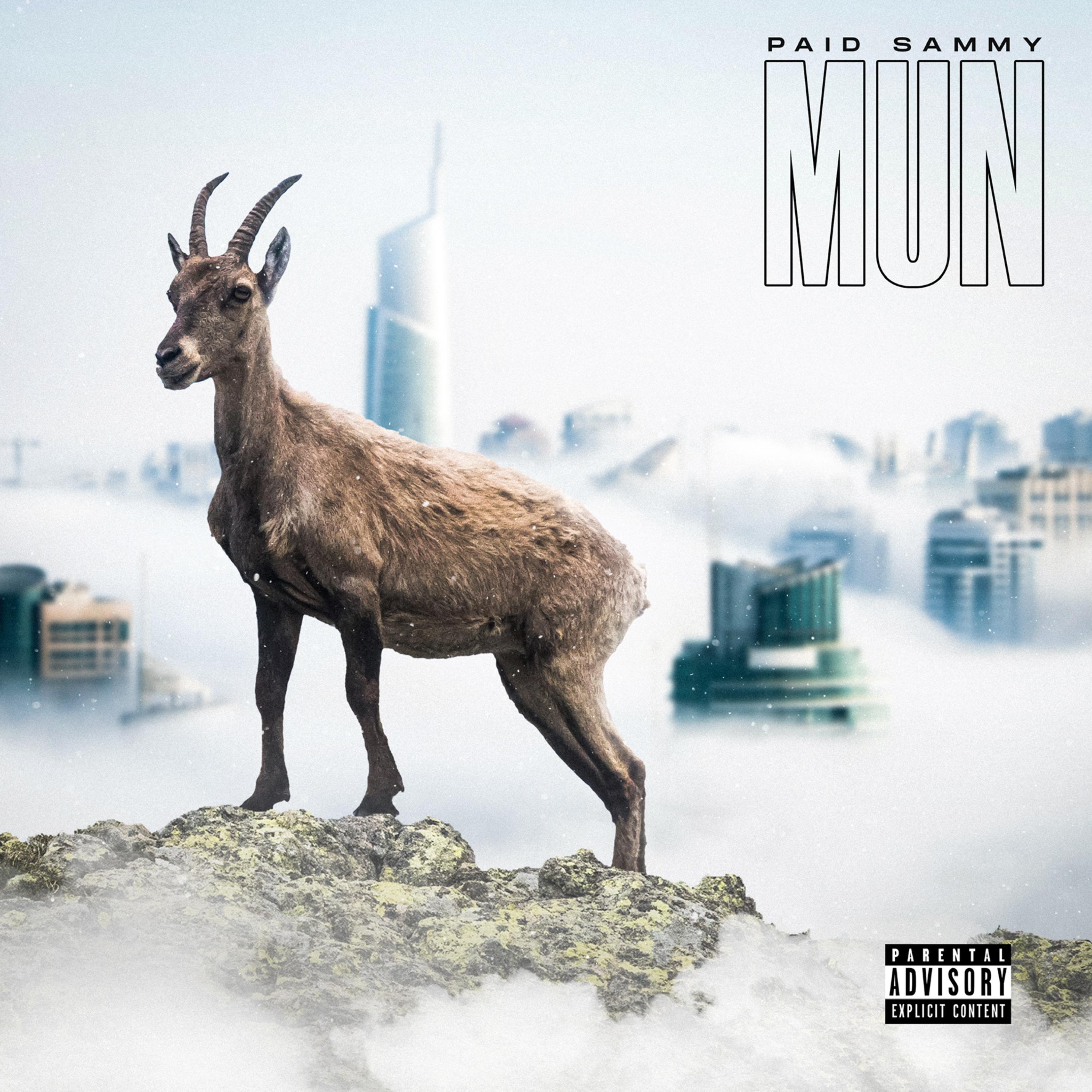 MUN artwork