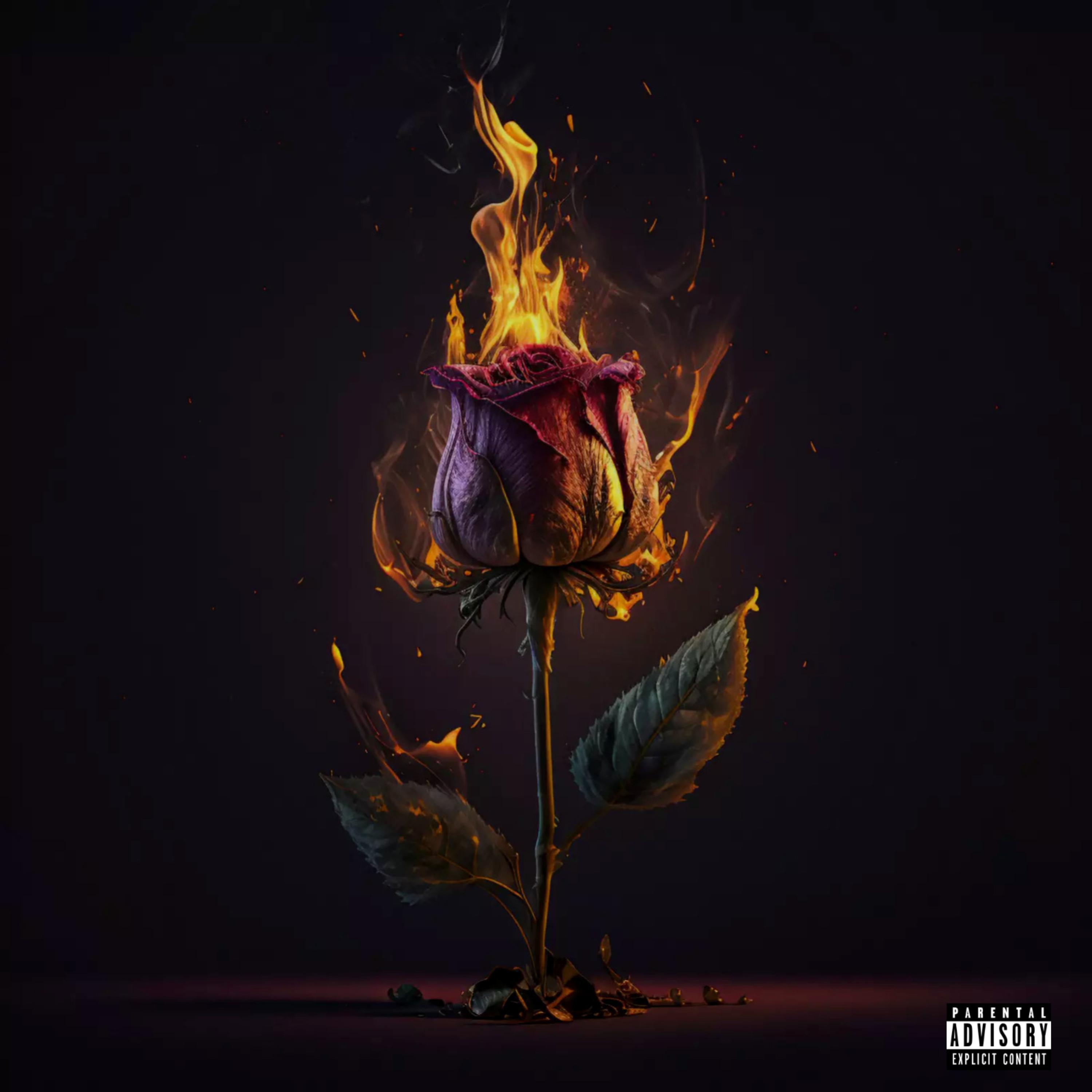 Burning Sage artwork