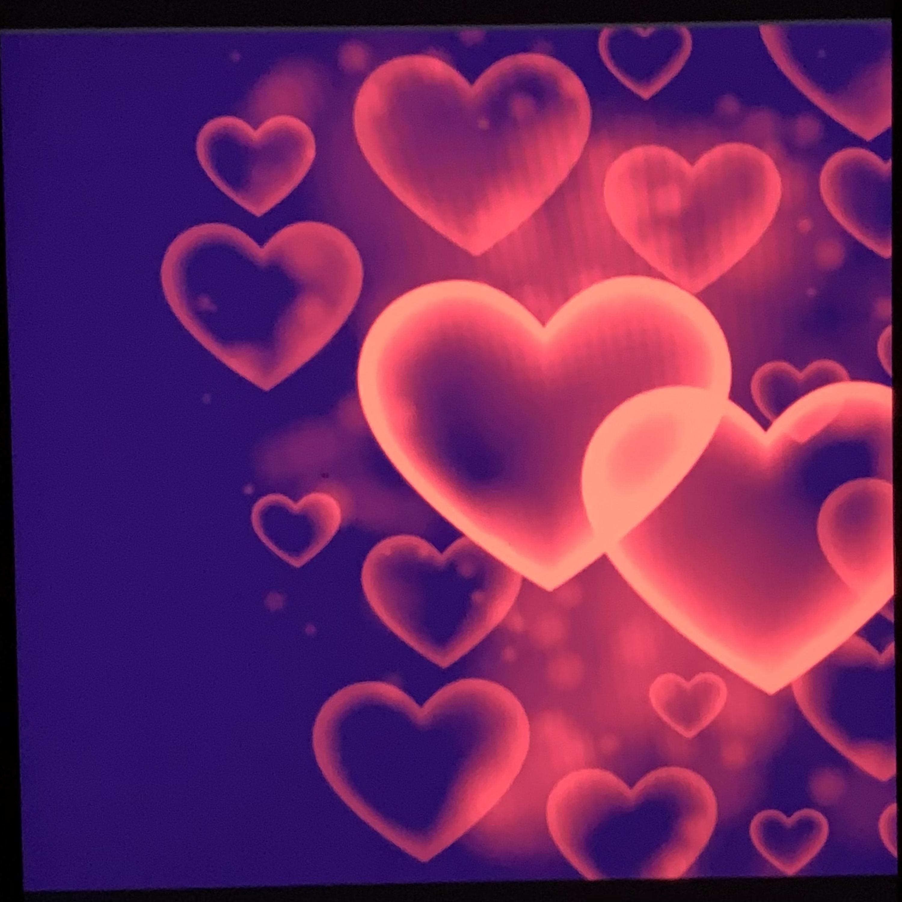 Love Is In The Air artwork