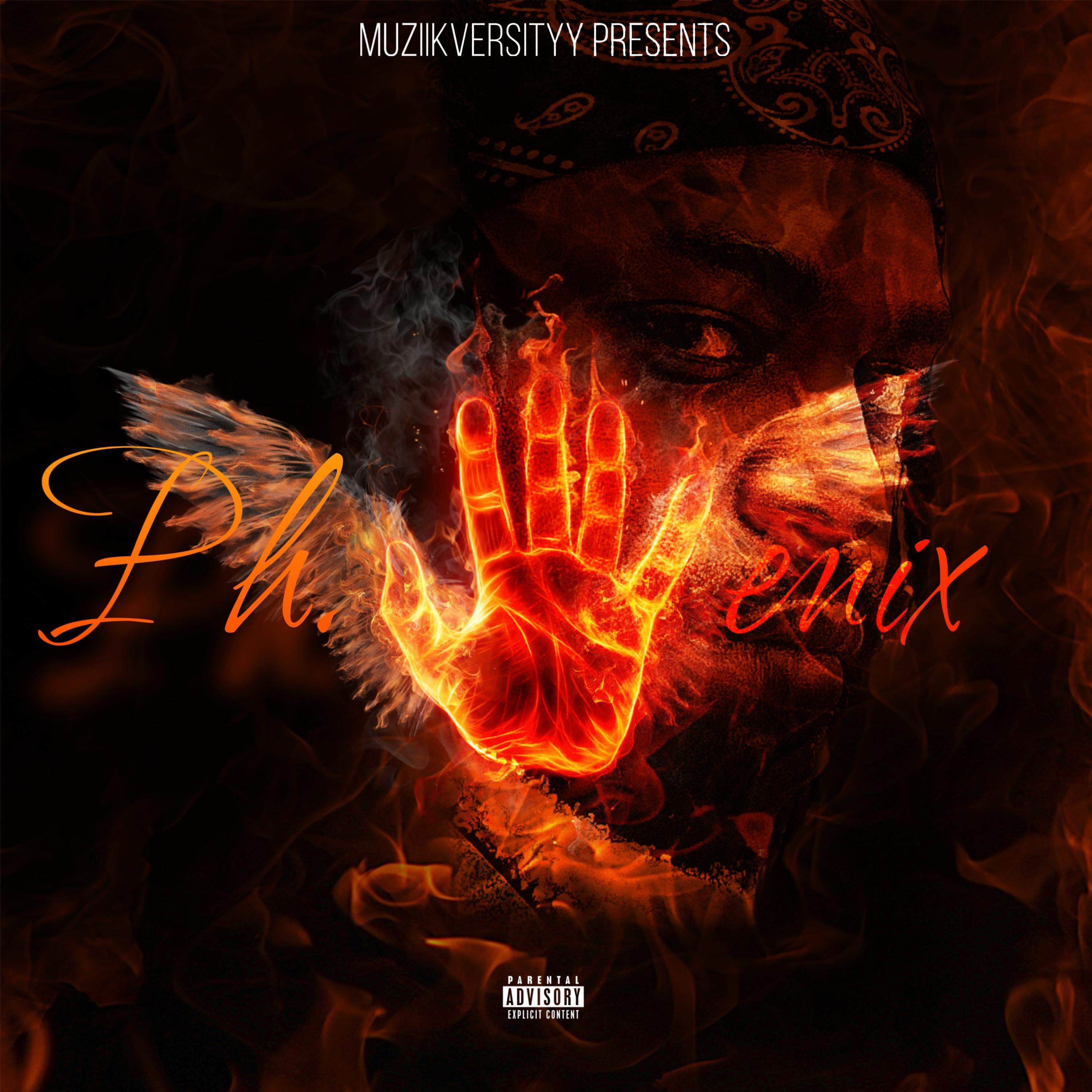 Phoenix artwork