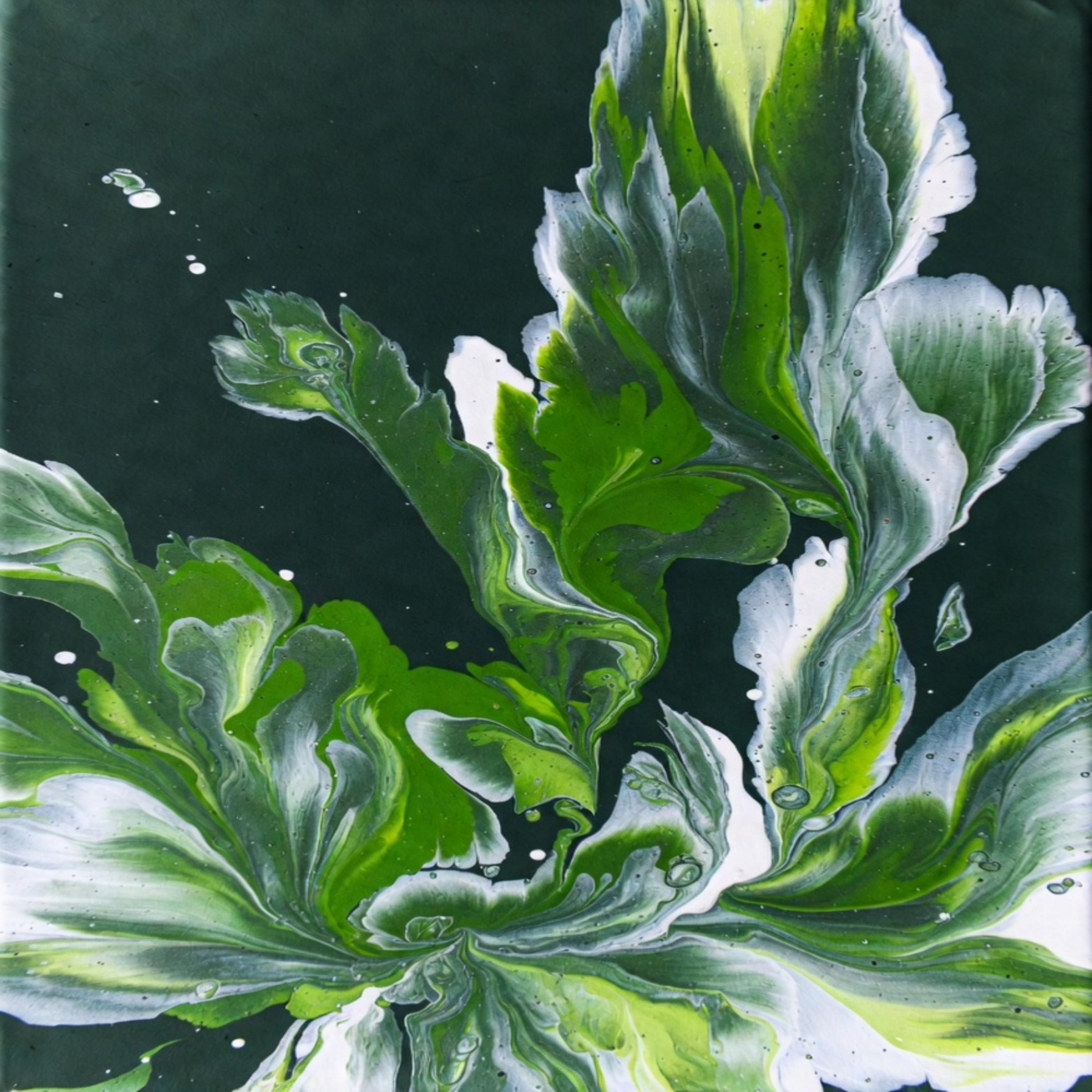 Gelatin artwork