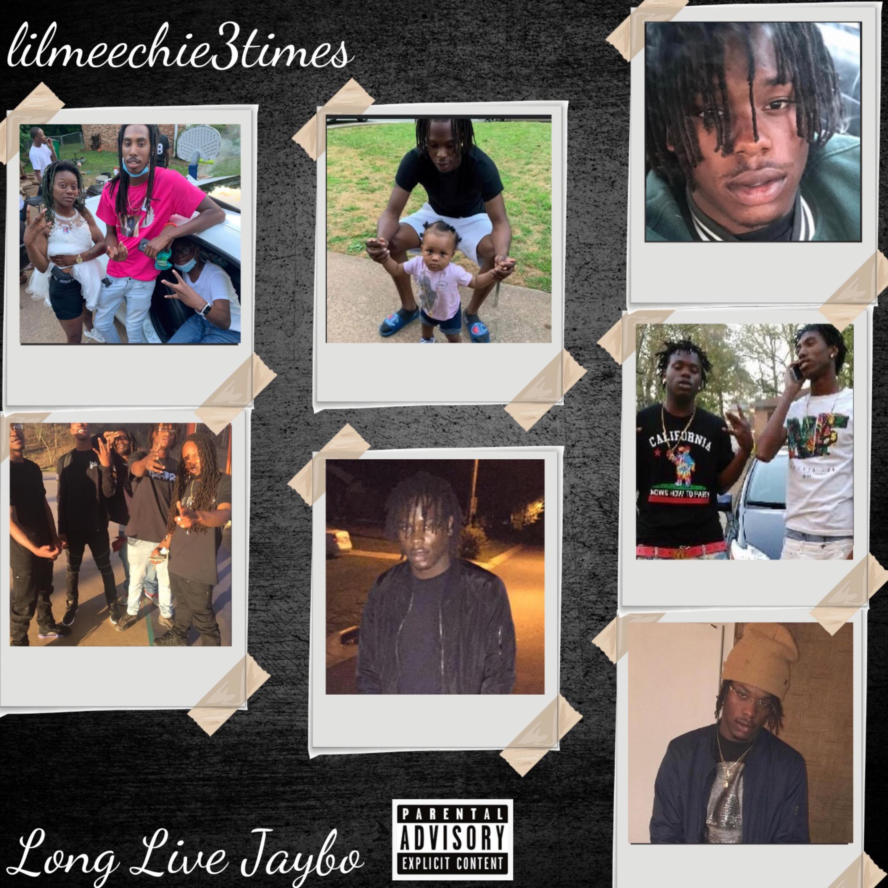 Long Live Jaybo artwork