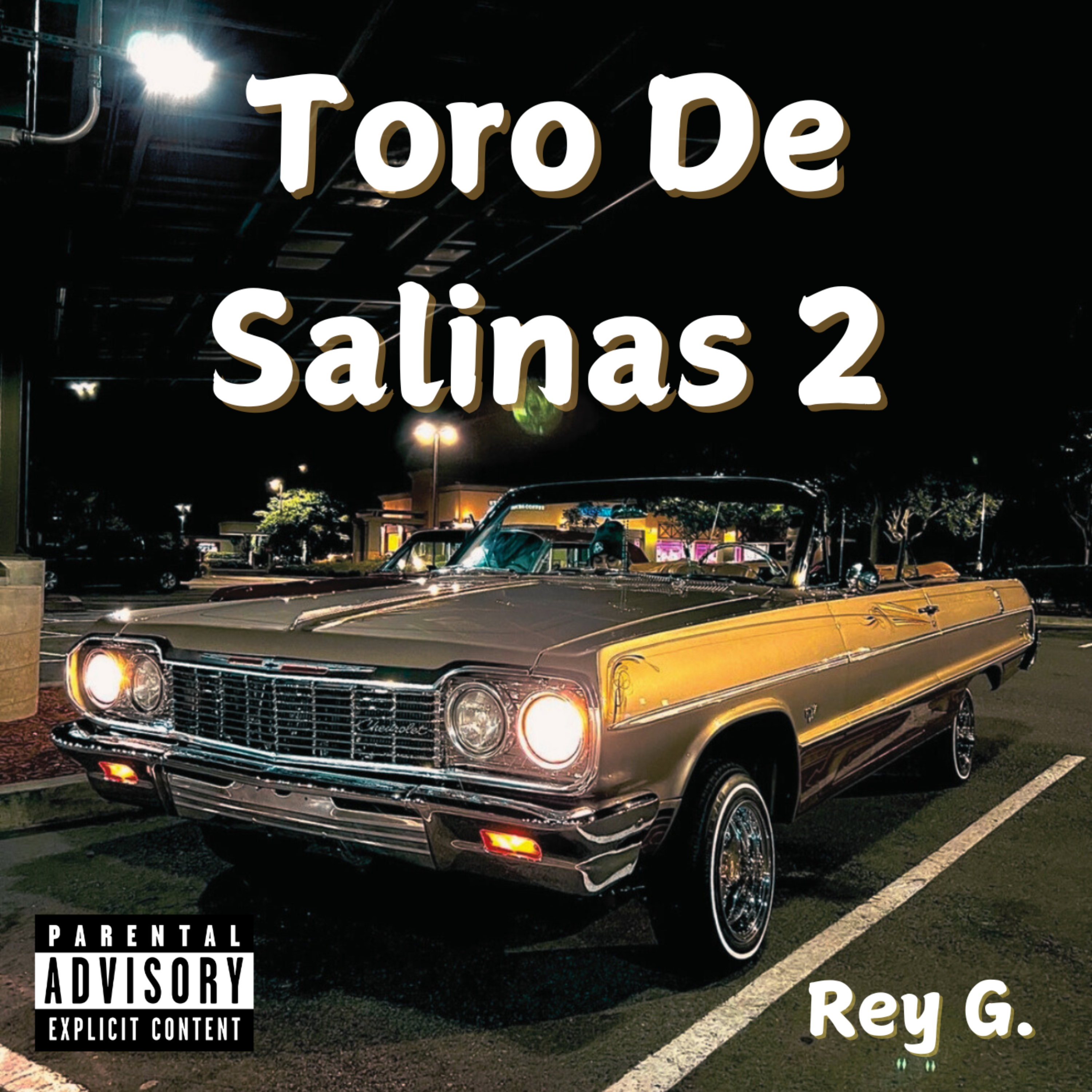 Toro De Salinas 2 artwork