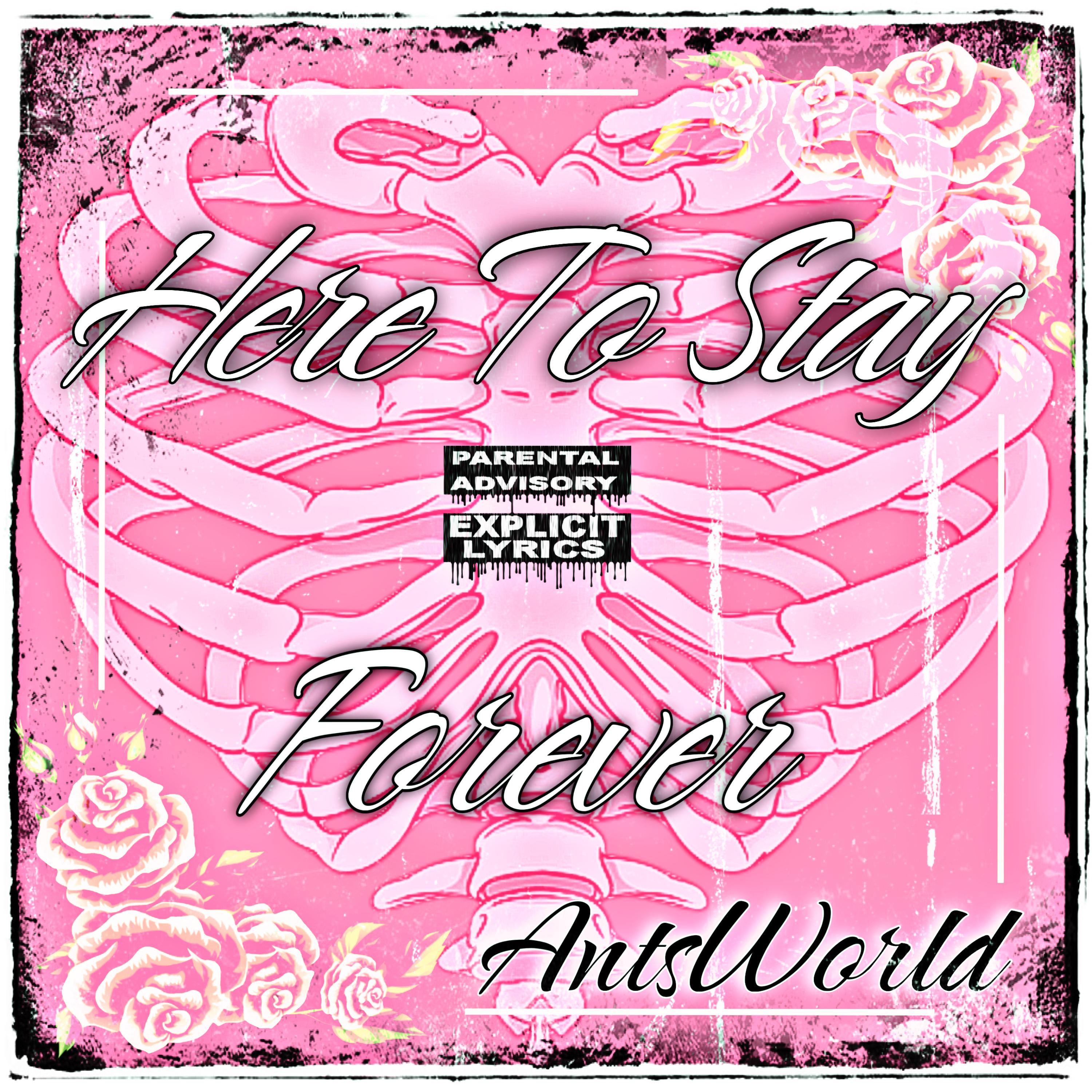 Here 2 Stay : The Continuance artwork