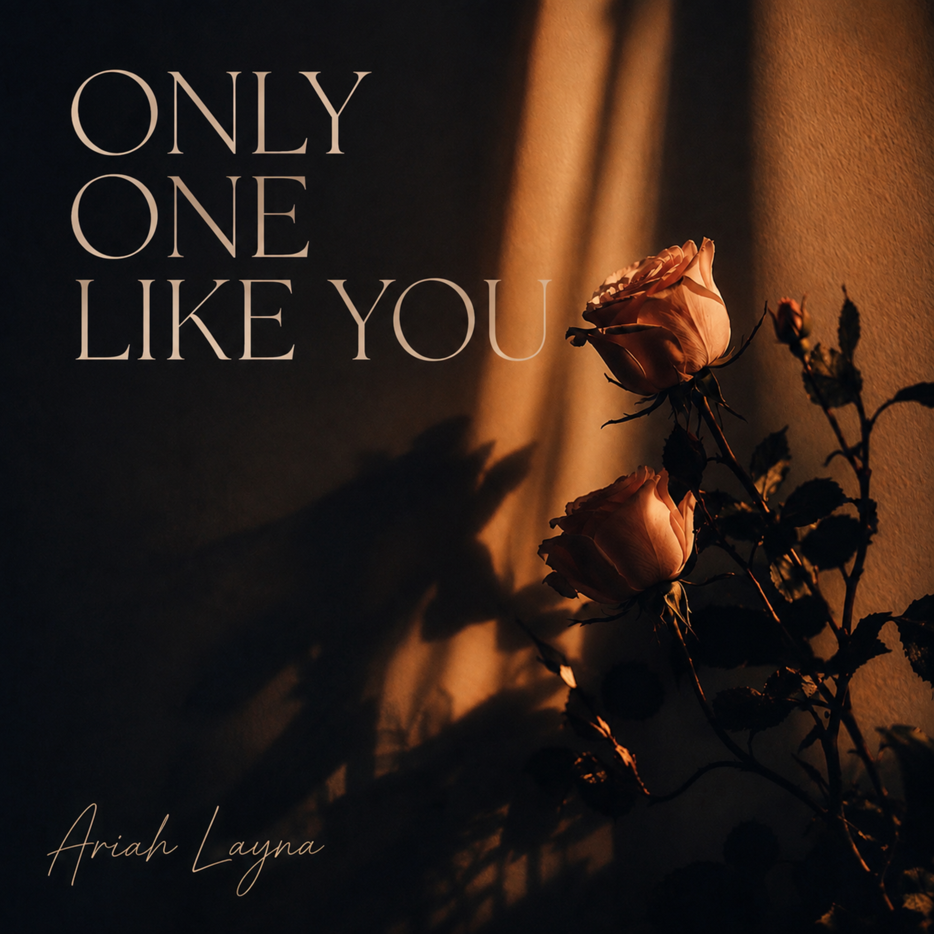 Only One Like You by Ariah Layna cover art