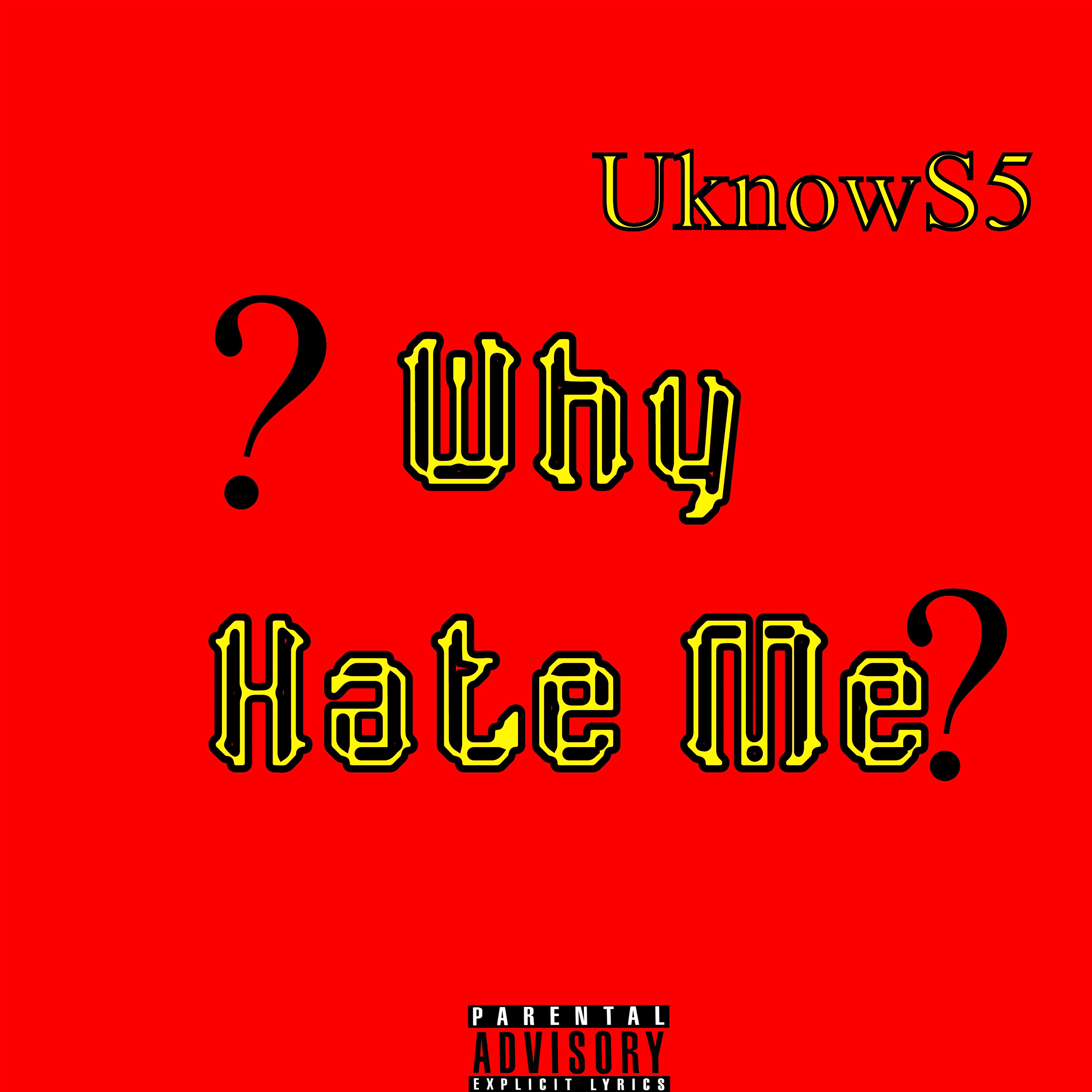 Why Hate Me? artwork