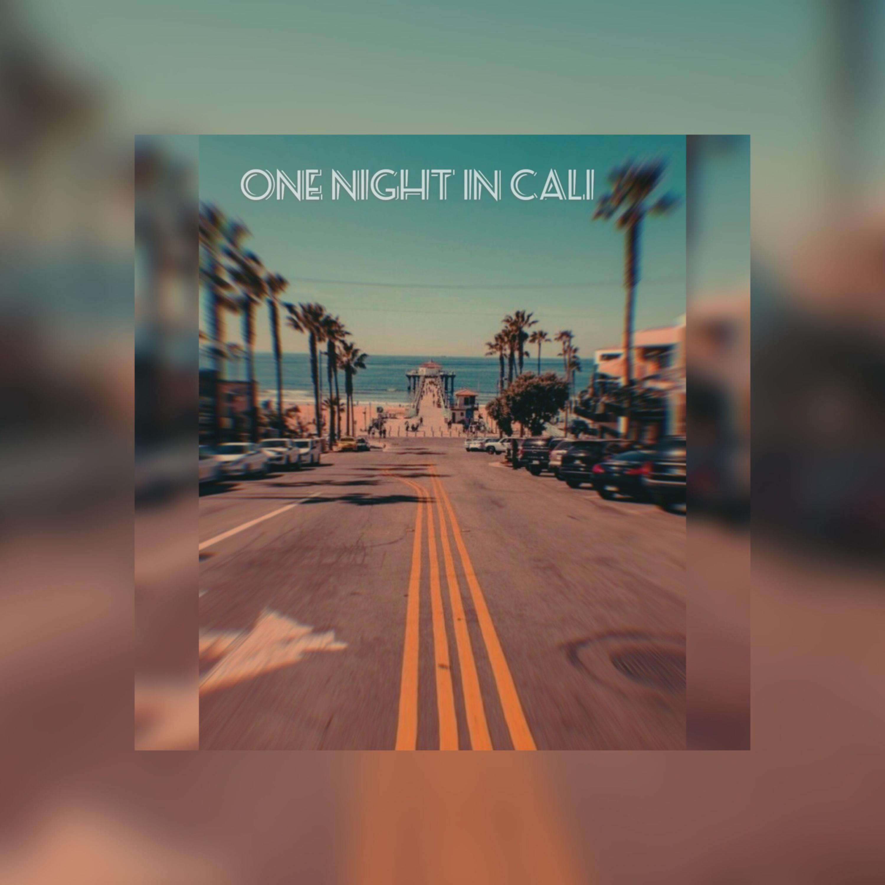 "ONE NIGHT IN CALI" artwork